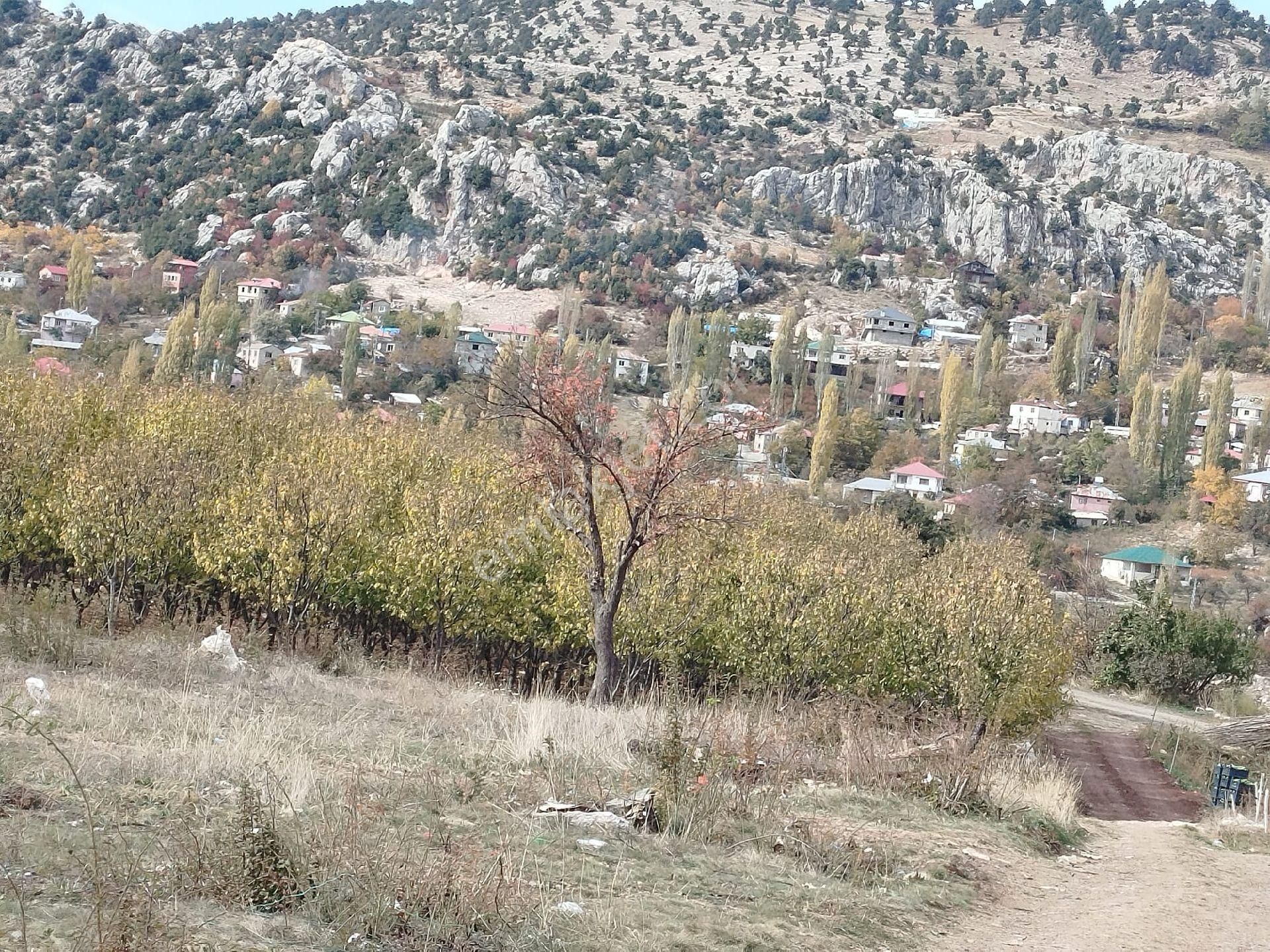 Erdemli Sorgun Satılık Tarla DEMİR GAYRİMENKUL MERSİN ERDEMLİ SORGUN MAHALLE YATIRIM LIK VİLLA DAİRE BUNGALOV YAPIMINA UYGUN 