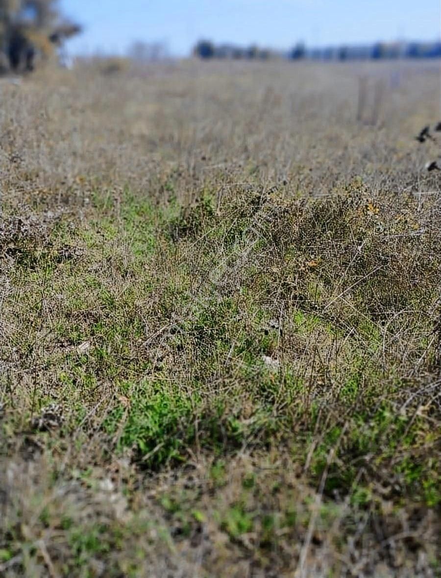 Dostum Gayrimenkul'den Binkılıç'ta Satılık Tarla - Görsel 3