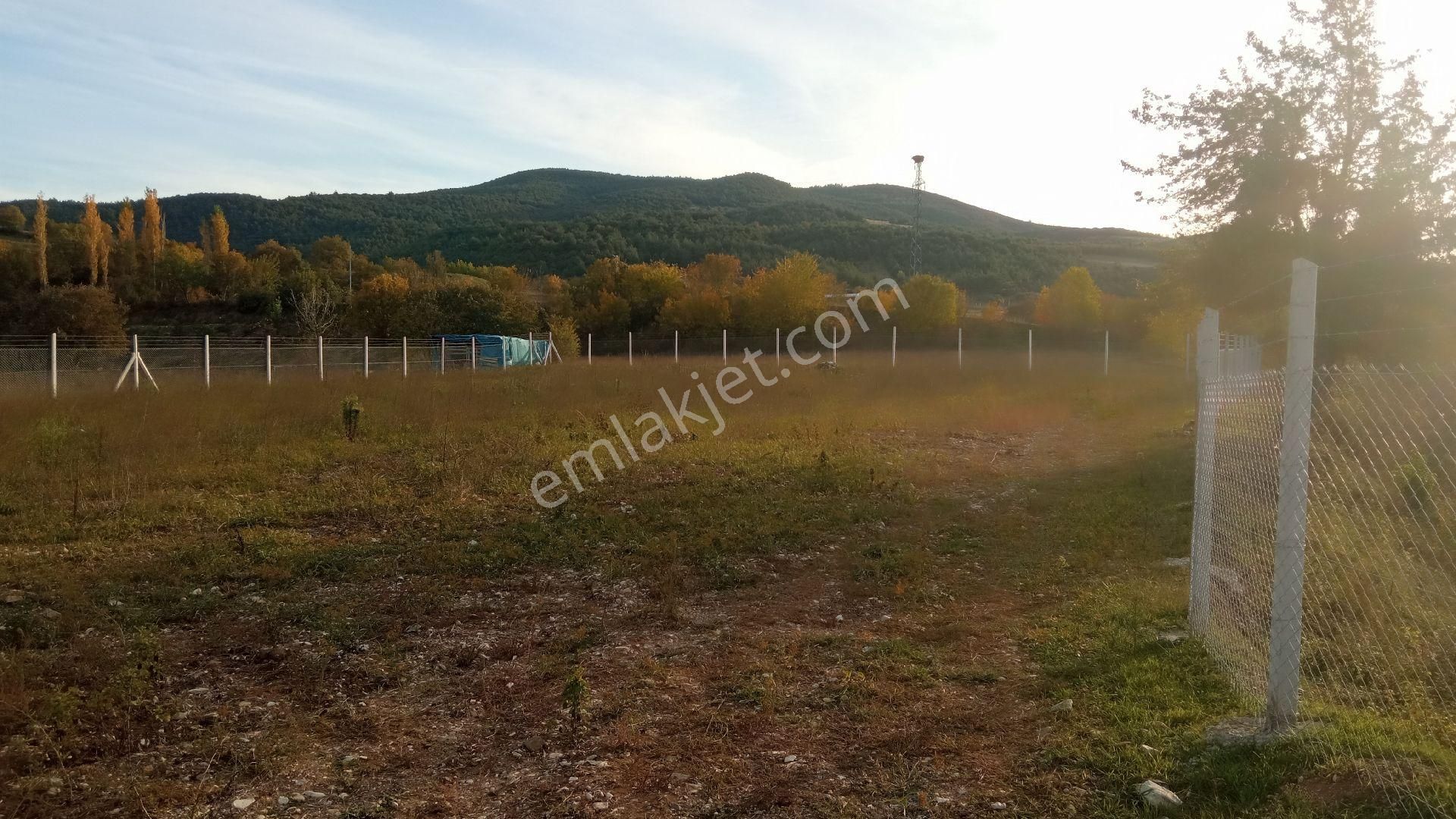 Tokat Erbaa Tepekışla Girişi 1976 M2 Irmak Kenarı Tarla Tel Örgülü - Görsel 4