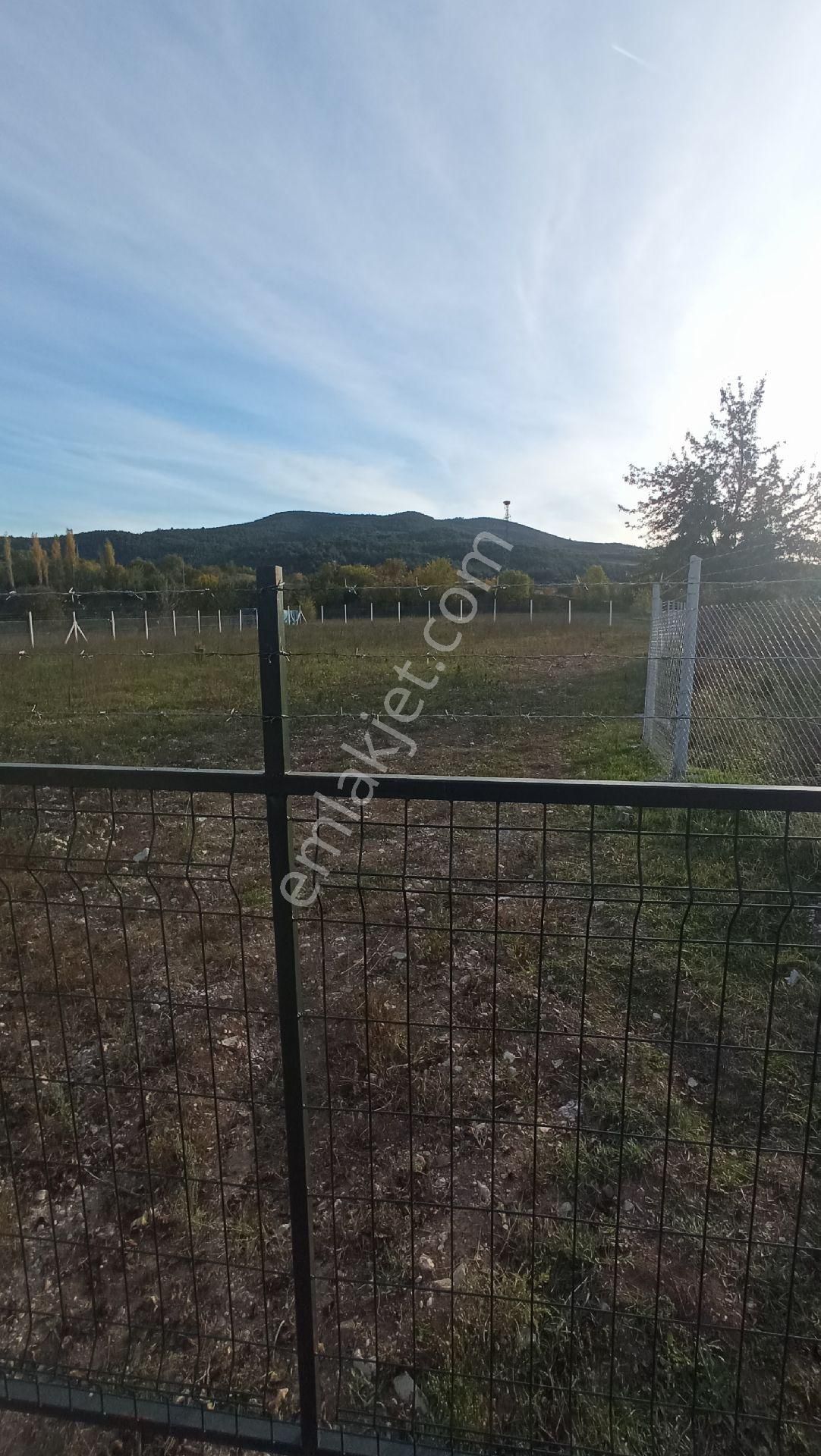 Tokat Erbaa Tepekışla Girişi 1976 M2 Irmak Kenarı Tarla Tel Örgülü - Görsel 5