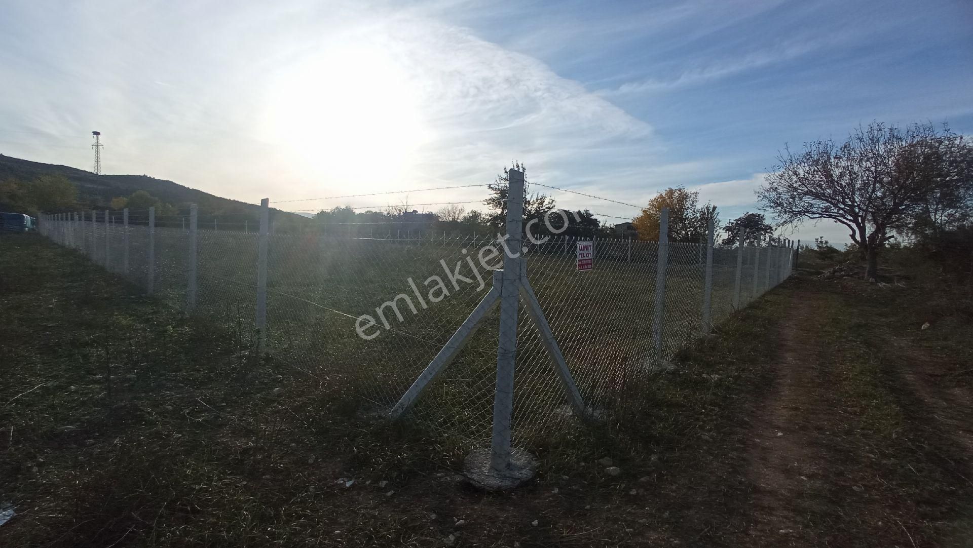 Tokat Erbaa Tepekışla Girişi 1976 M2 Irmak Kenarı Tarla Tel Örgülü - Görsel 2