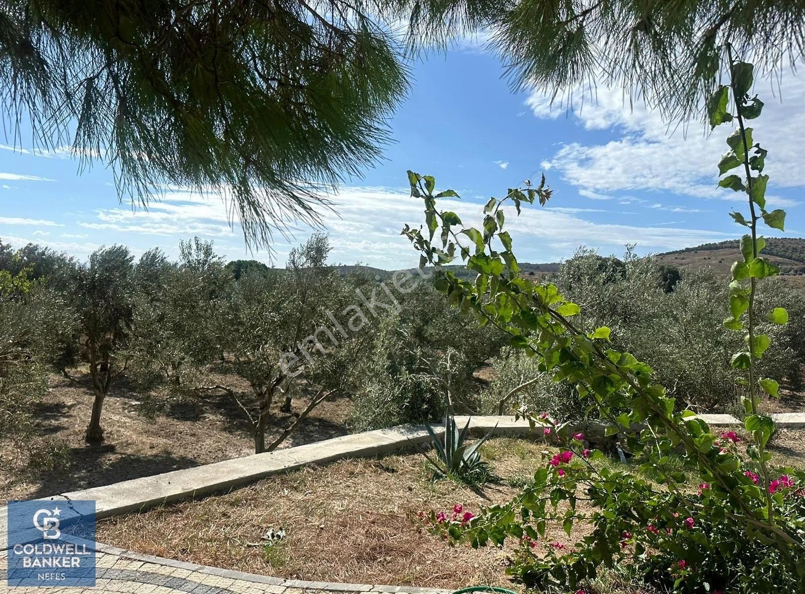 Bozcaada Alaybey Mahallesi Merkeze Çok Yakın Satılık Bağ Evi - Görsel 25