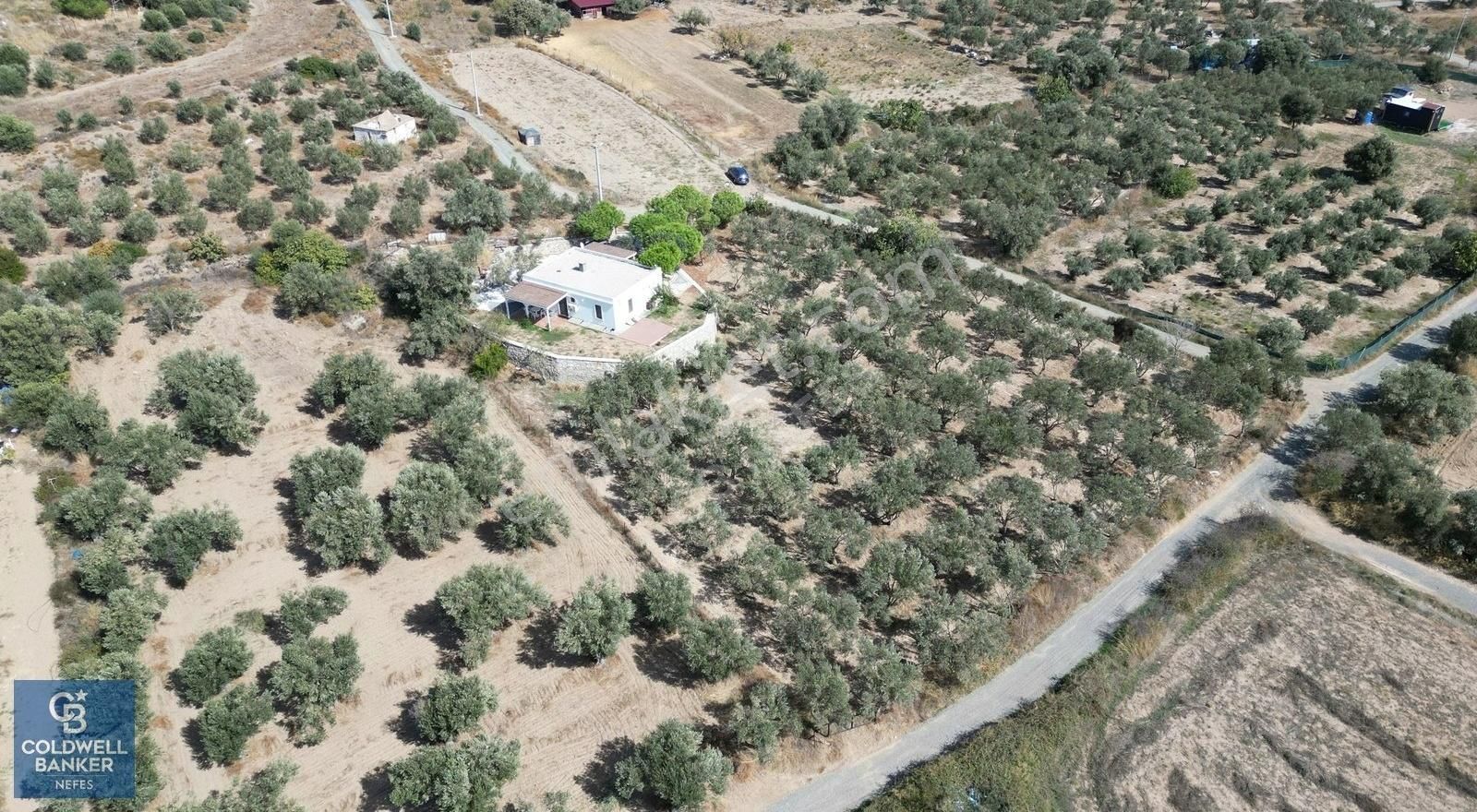 Bozcaada Alaybey Satılık Müstakil Ev Bozcaada Alaybey Mahallesi Merkeze Çok Yakın Satılık Bağ Evi