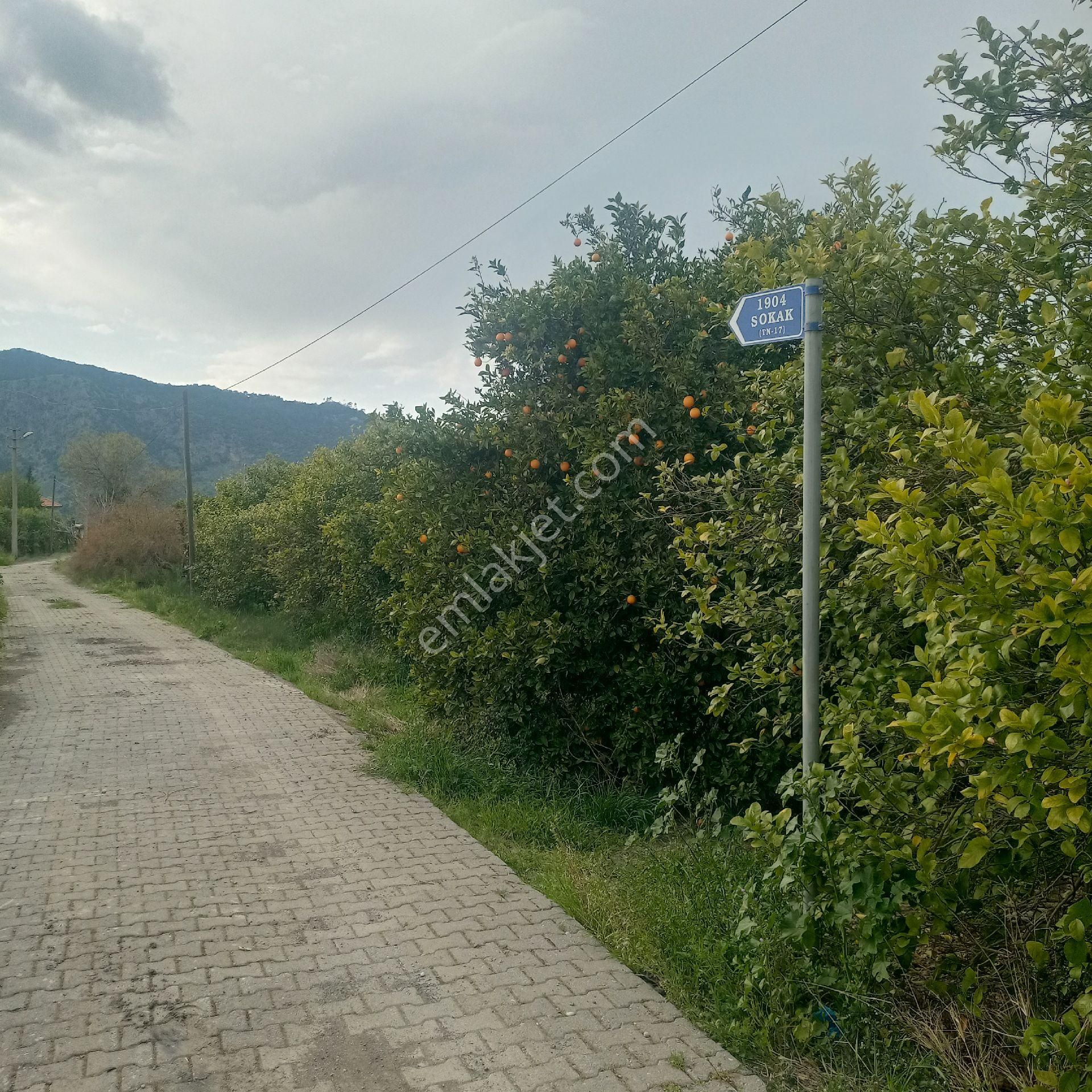 Muğla Ortaca Yeşilyurt Mahallesi Satılık Müstakil Konut - Görsel 3