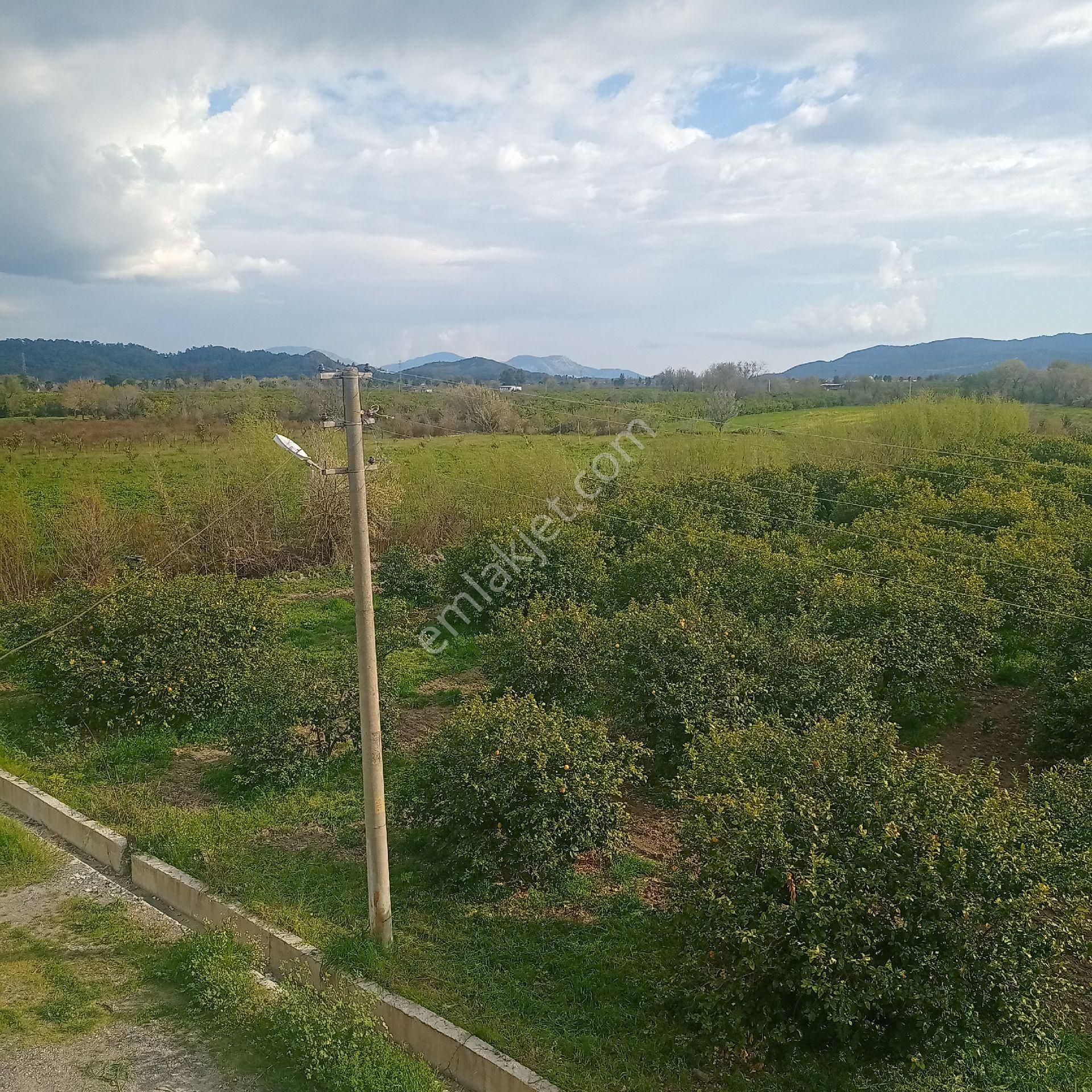 Muğla Ortaca Yeşilyurt Mahallesi Satılık Müstakil Konut - Görsel 16