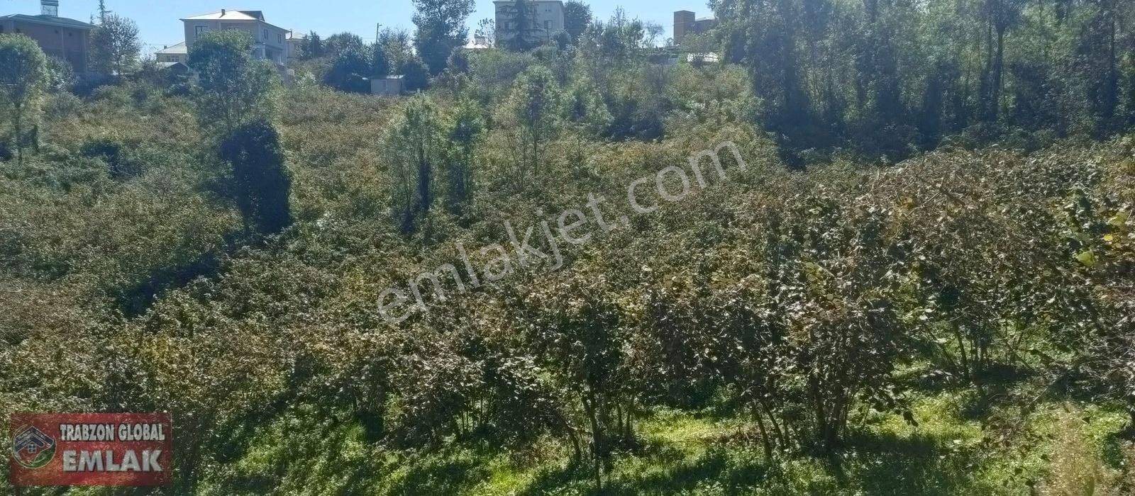 Gölçayır Da Ana Cadde Üzerinde Satılık Fırsat Arazi - Görsel 16