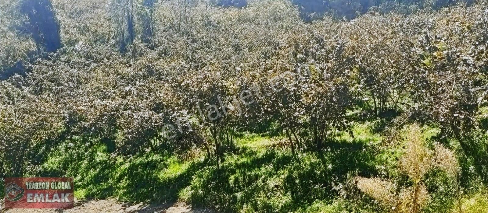 Gölçayır Da Ana Cadde Üzerinde Satılık Fırsat Arazi - Görsel 6