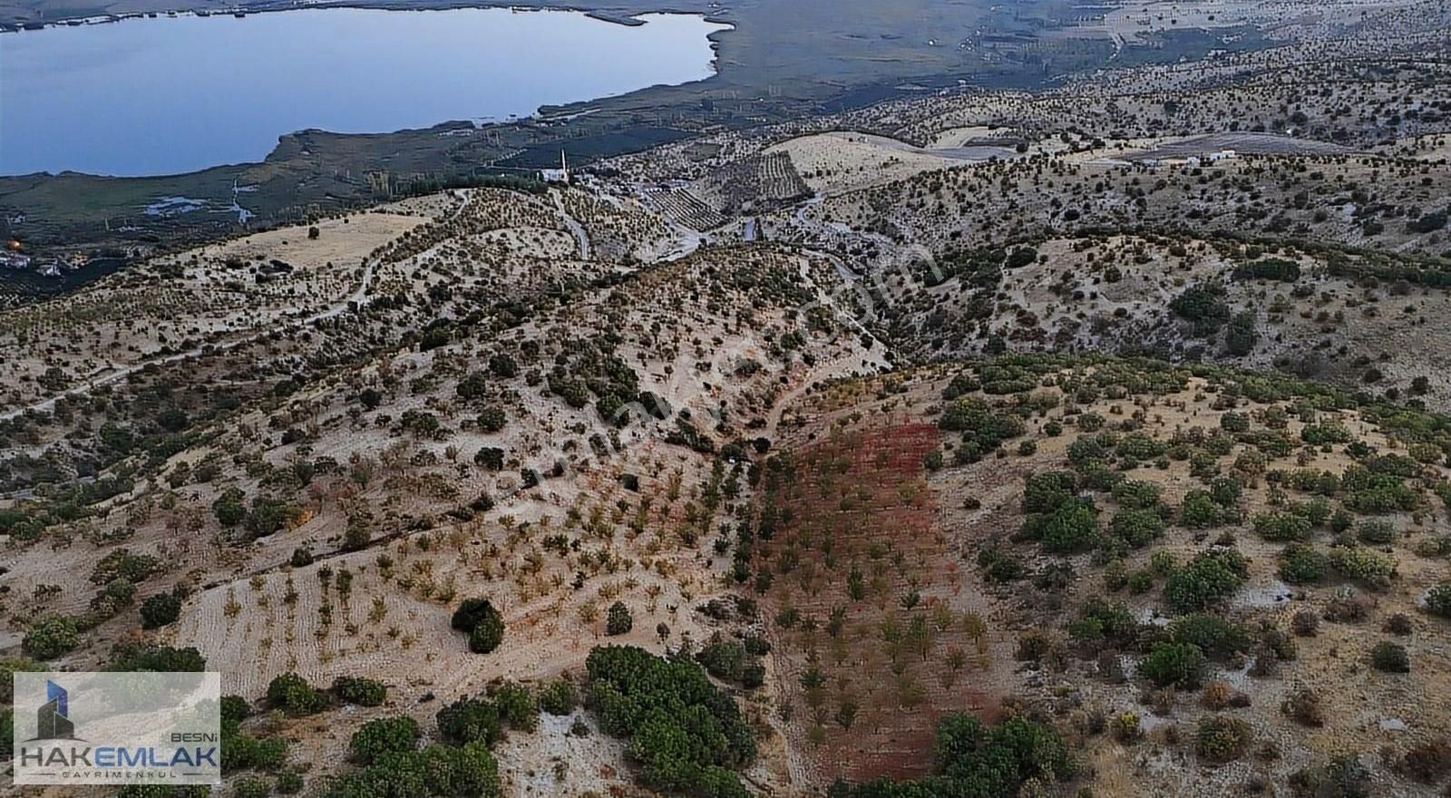 Gölbaşı Bağlarbaşı Köyü Satılık Bağ & Bahçe HAK EMLAKTAN GÖLBAŞI BAĞLARBAŞI KÖYÜNDE BADEM BAHÇESİ SATILIKTIR