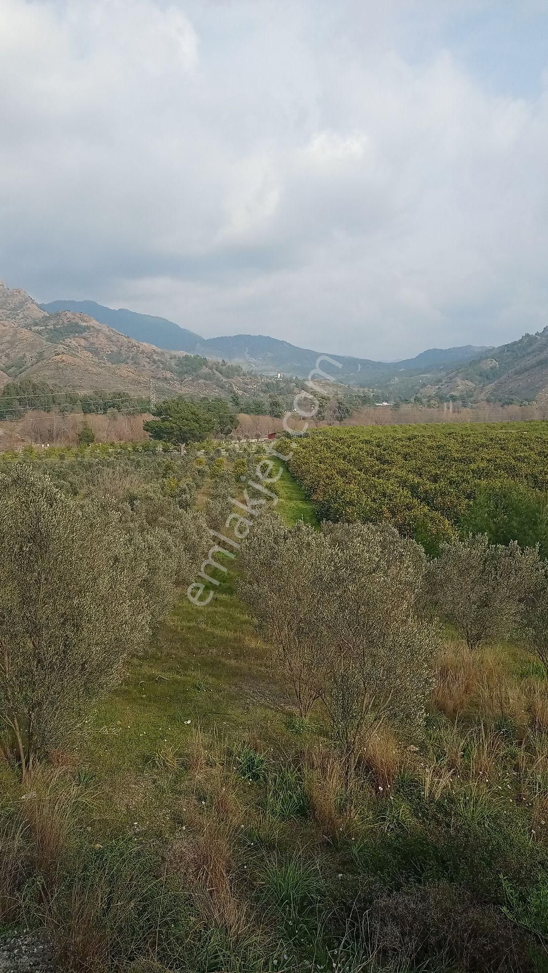 Muğla Ortaca Yerbeleni Satılık Tarla Müstakil Parselli - Görsel 3
