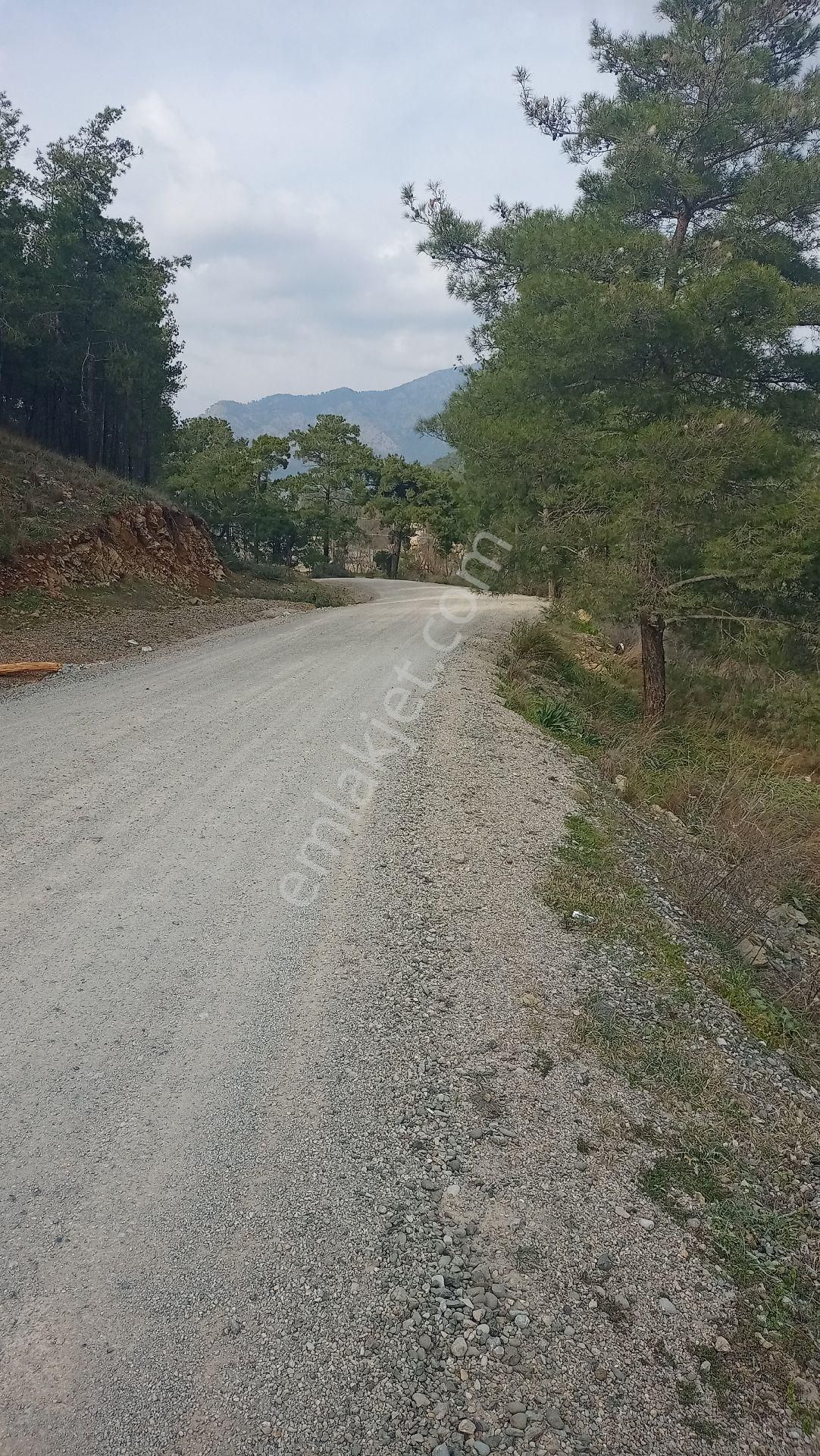 Muğla Ortaca Yerbeleni Satılık Tarla Müstakil Parselli - Görsel 5