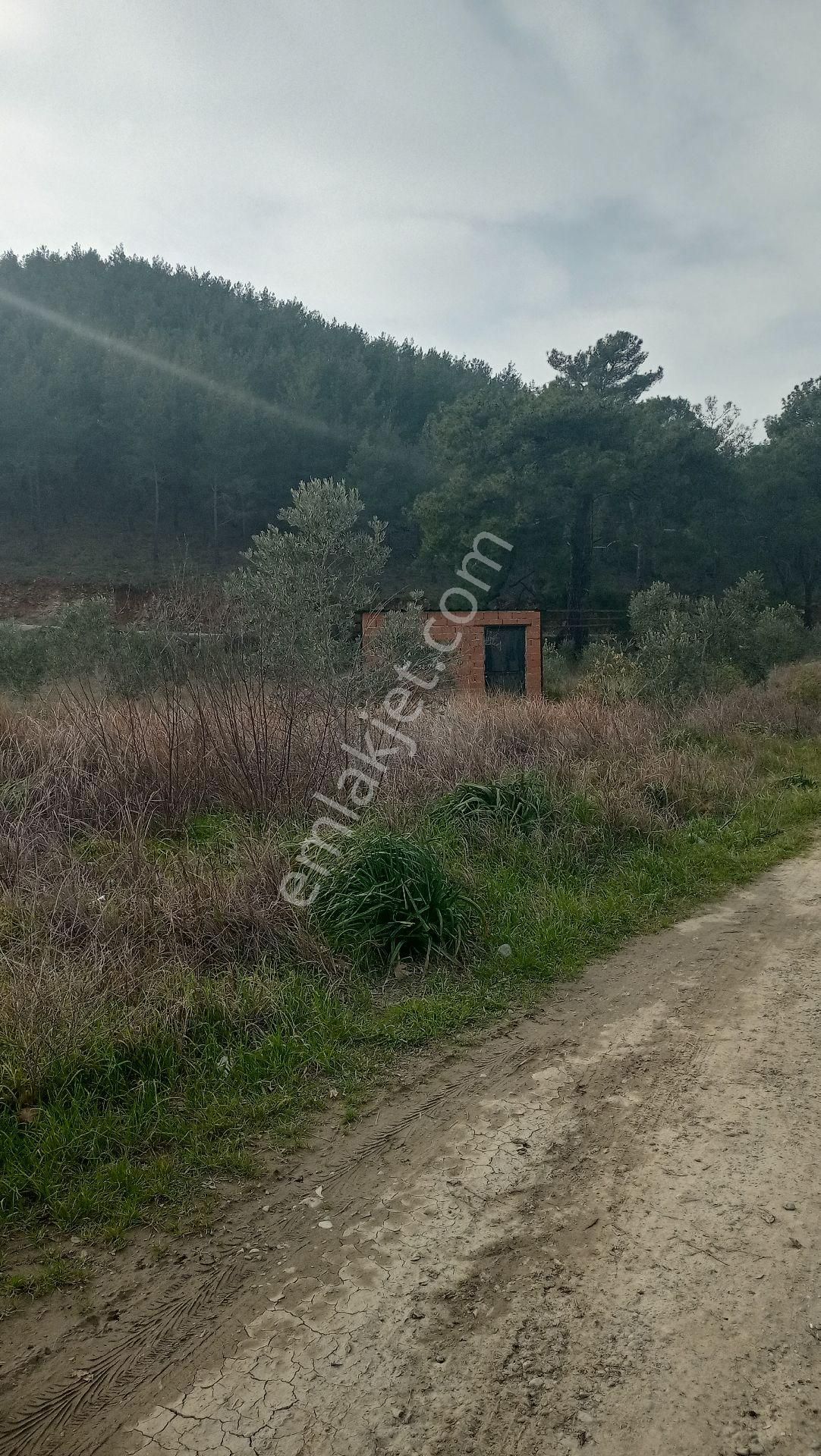 Muğla Ortaca Yerbeleni Satılık Tarla Müstakil Parselli - Görsel 10