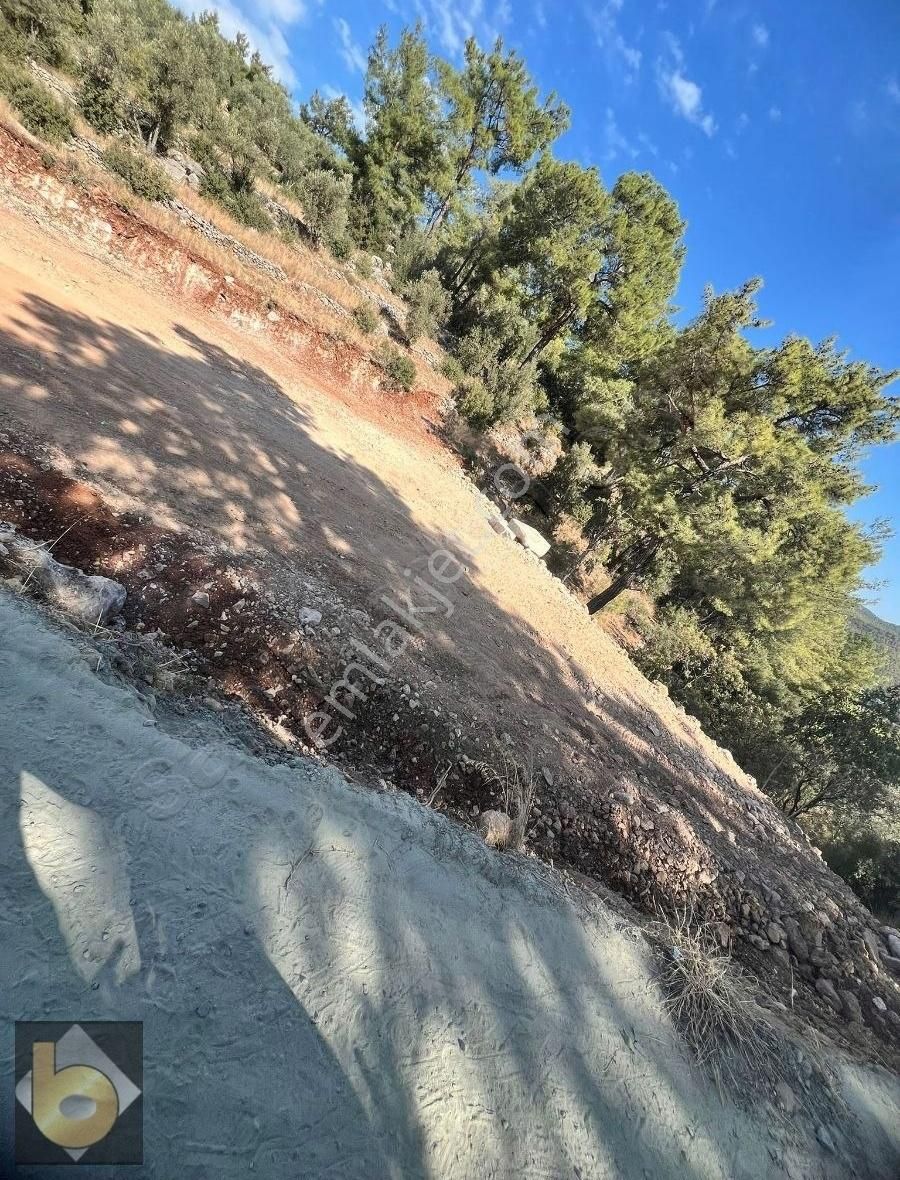 Muğla Fethiye Bozyer Mahallesi'nde Satılık Tarla - Görsel 3