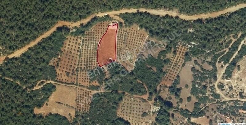 Marmaris'e Yakın, Ula Kızılağaç Mevkiinde 2.776 M² Satılık Tarla - Görsel 6