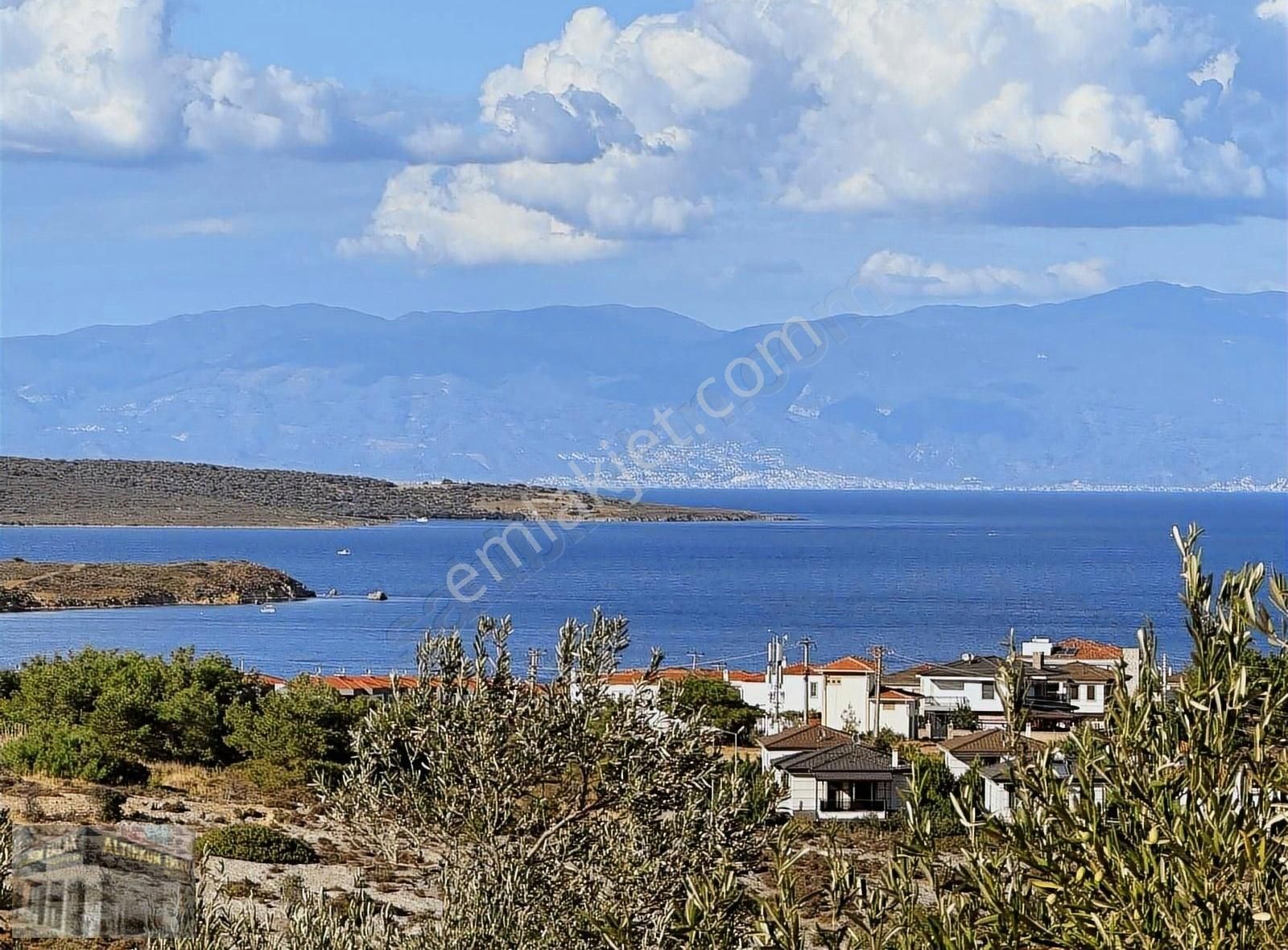 Ayvalık Namık Kemal Satılık Zeytinlik Ayvalık Cunda adasında imara yakın satılık zeytinlik