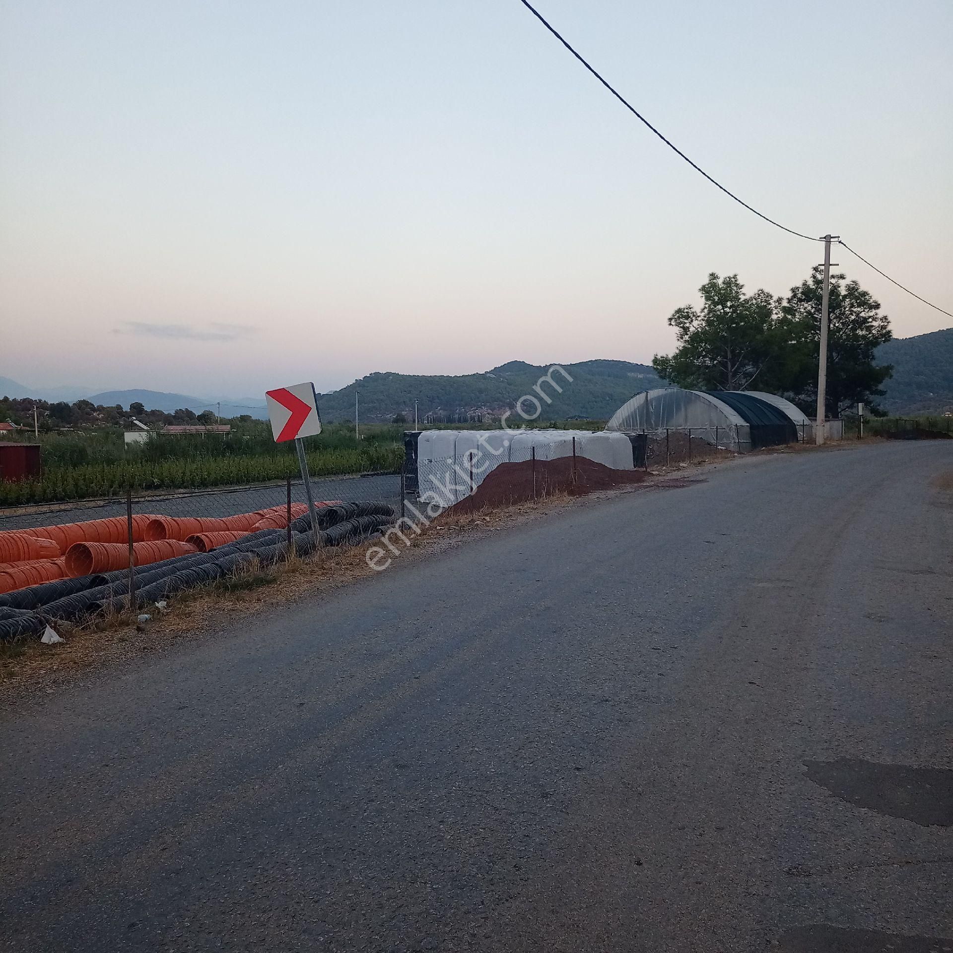 Muğla Ortaca Mergenli Köyü Satılık Tarla - Görsel 5