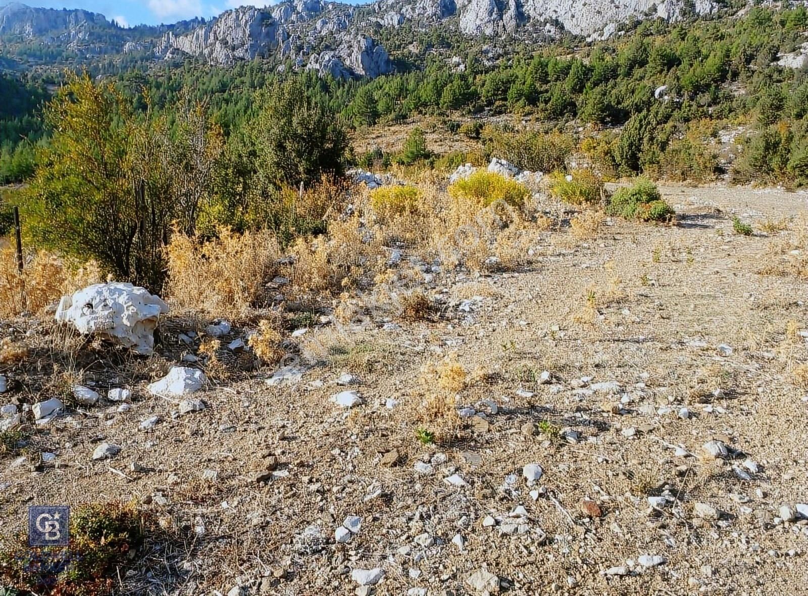 Akseki Güneykaya Satılık Tarla Antalya Aksekide yerleşime 130 m köydibi 4200 m2 arazi