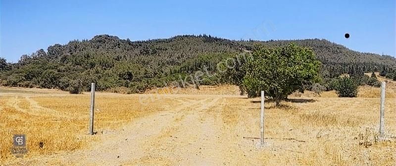 Seferihisar Kavakdere Satılık Tarla Seferihisar Kavakdere'de Satılık Yatırımlık Tarla