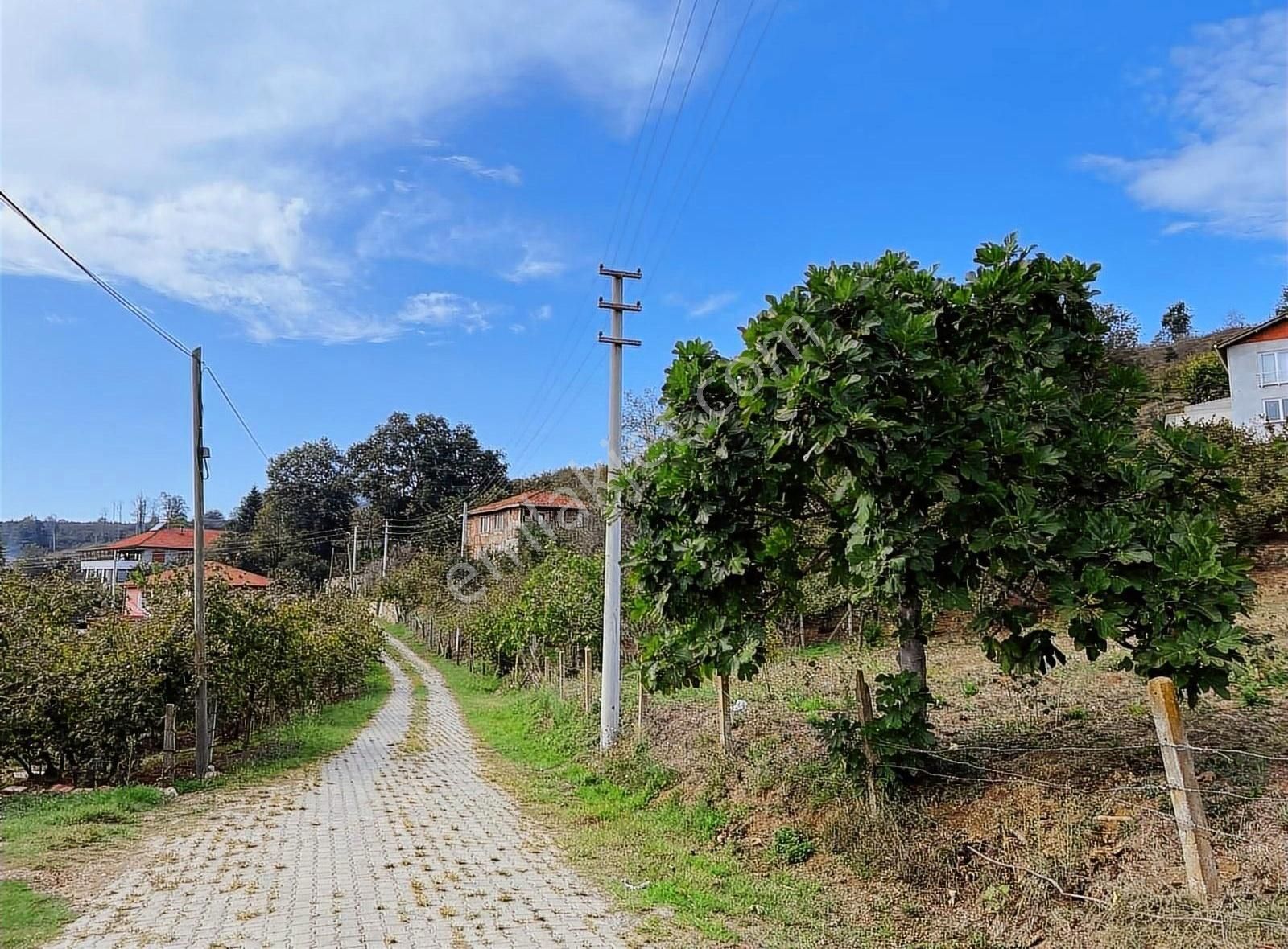 Akçakoca Hasançavuş Köyü Satılık Konut İmarlı ESKİ EMLAKTAN DÜZCE AKÇAKOCA HASAN ÇAVUŞ KÖYÜNDE 250M2 ARSA