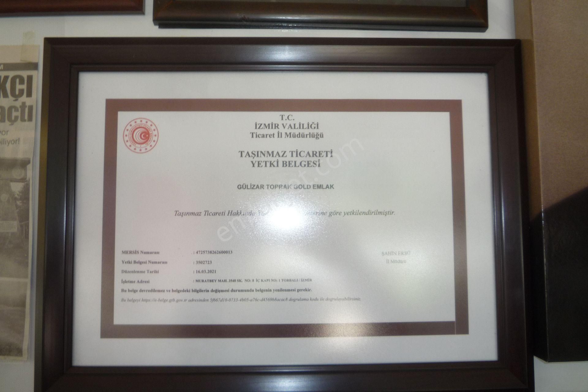 İzmir Torbalı Gold Emlaktan Satılık Zeytinlik - Görsel 2