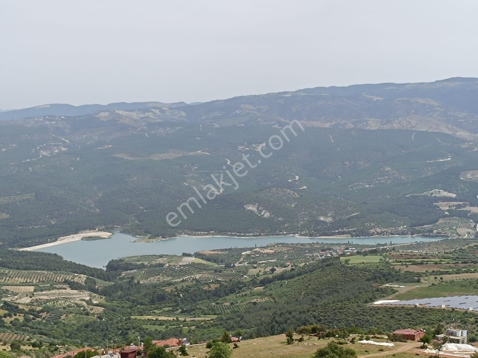 Karacasu Alemler Satılık Tarla Aydın Karacasu Baraj Manzaralı Fırsat Tarla Araç Takaslı Acil