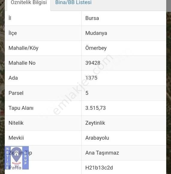 Mudanya Ömerbey Satılık Zeytinlik  BURSA MUDANYA ÖMERBEYDE SATILIK ZEYTİNLİK