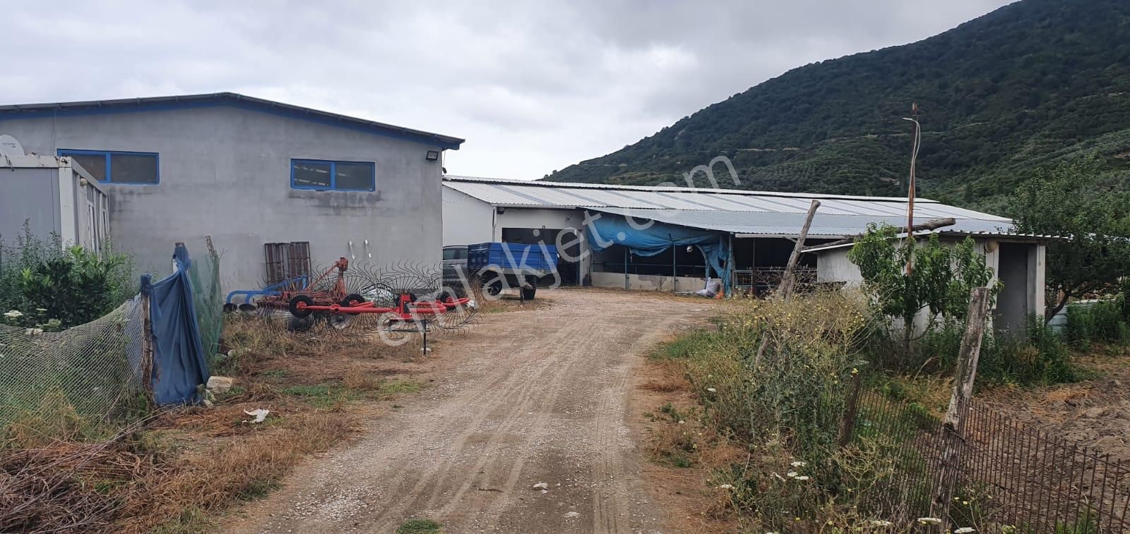 Erdek Turan Köyünde Satılık Çiflik - Görsel 5