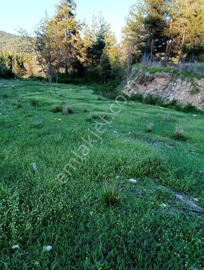 Çamlıyayla Kale Satılık Konut İmarlı Tarsus Ck Emlak'tan Çamlıyayla Namrun'da 1000 M2 Satılık Arsa