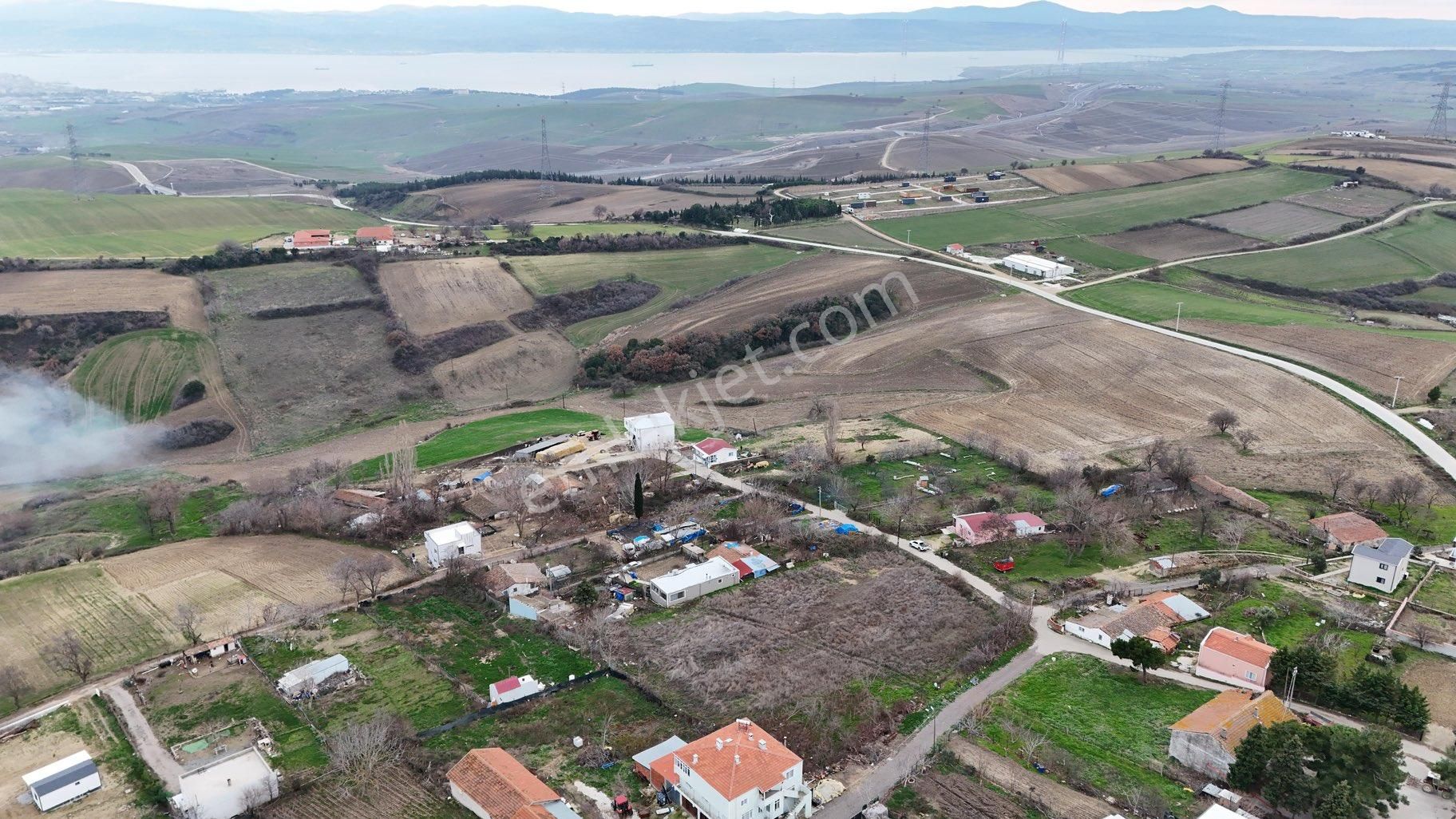 Gelibolu Kavaklı Köyü Satılık Konut İmarlı Kavaklıtepe Köyü Köyiçinde Tek Tapu Satılık Arsa