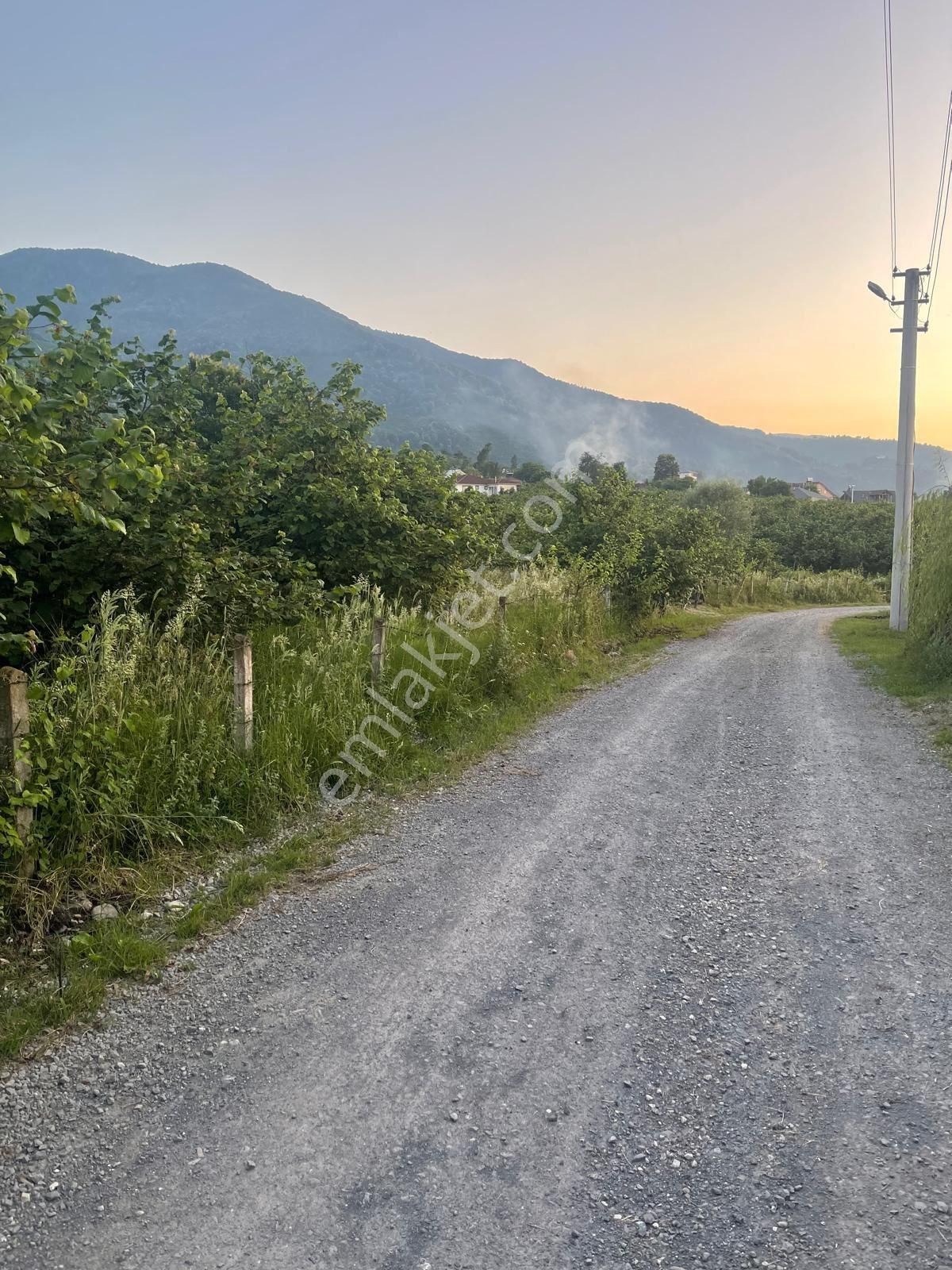 Düzce Merkez Aydınpınar Köyü (Hakkı Hoca) Satılık Tarla Düzce Aydınpınar Köyü Yola Cepheli 6000m2 Satılık Tarla