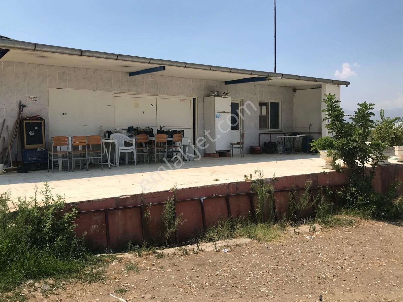 Egelimden Dualar Pirlibey Arası Satılık 20 Dönüm Çiftlik - Görsel 3