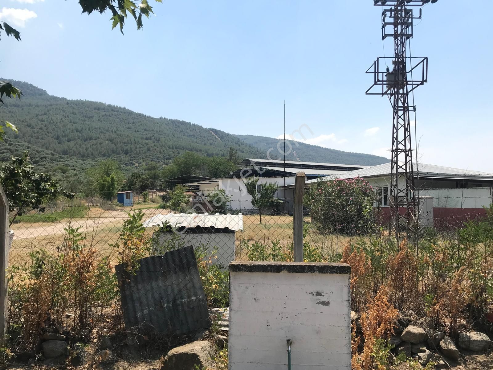 Egelimden Dualar Pirlibey Arası Satılık 20 Dönüm Çiftlik - Görsel 9