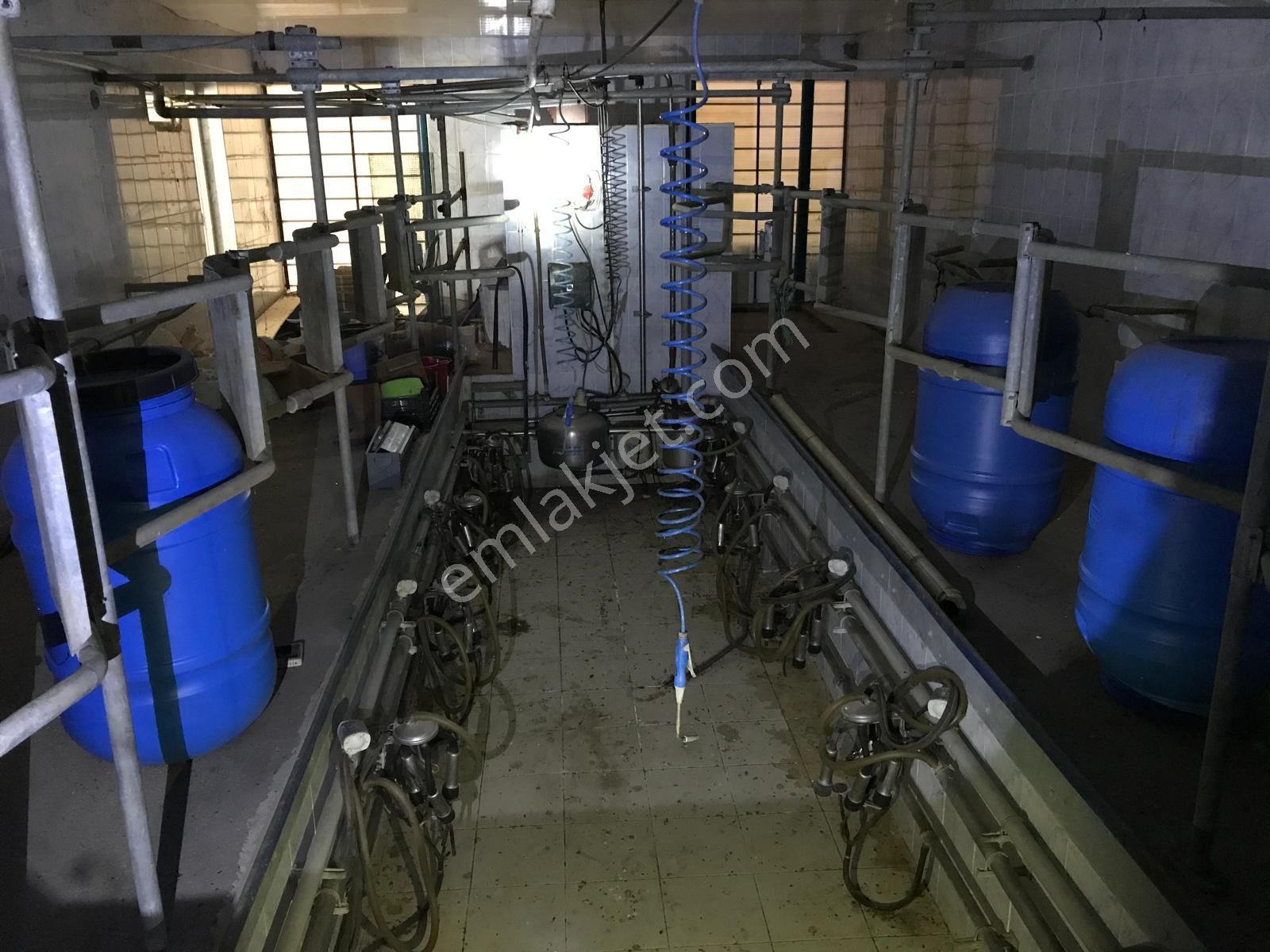 Egelimden Dualar Pirlibey Arası Satılık 20 Dönüm Çiftlik - Görsel 10