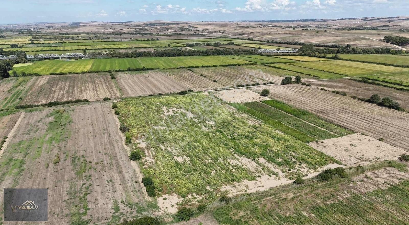 Uzunköprü Çakmak Köyü Satılık Tarla Uzunköprü Çakmak Köyü 23240 M2 Çeltık Arazisi