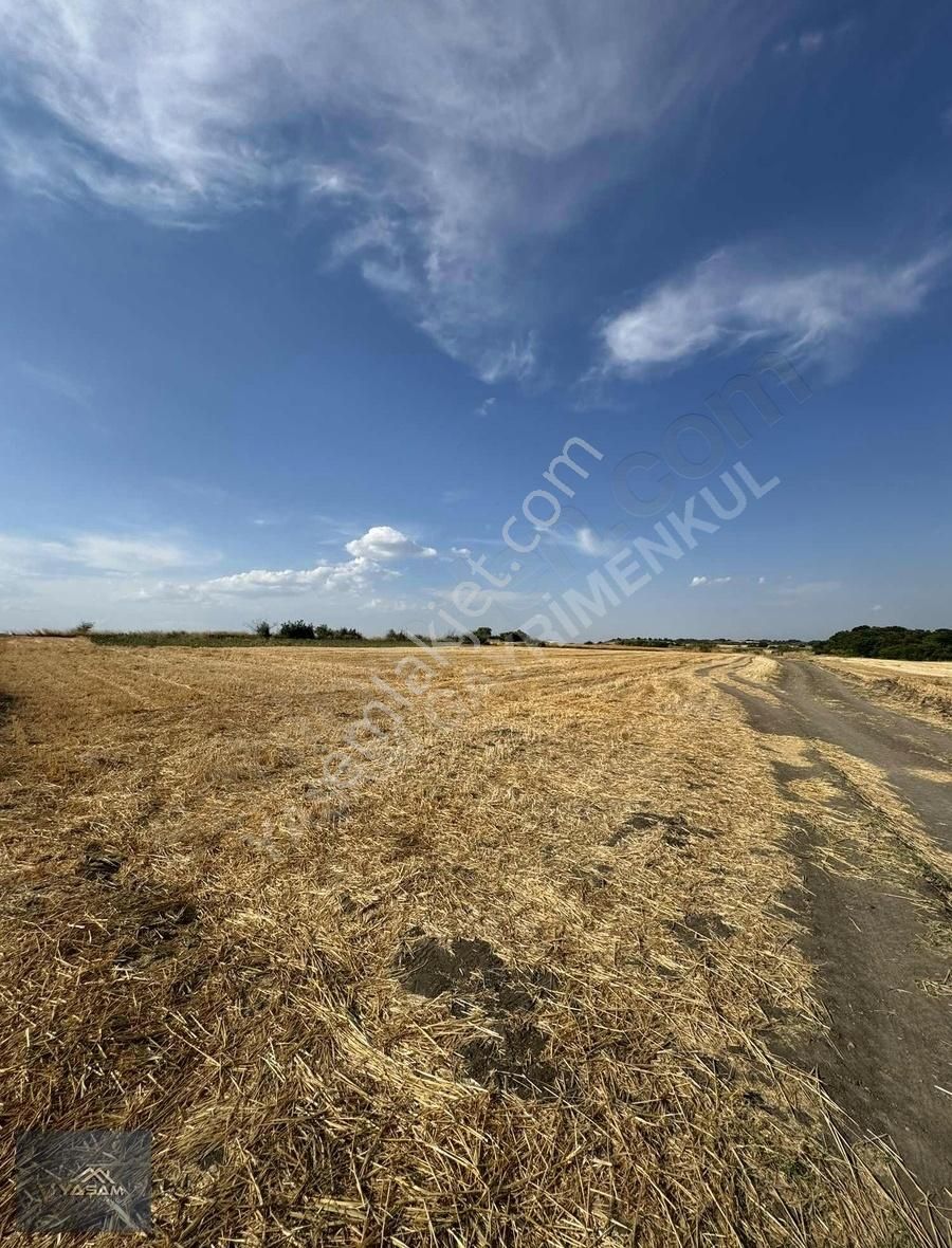 Uzunköprü Kurtbey Köyü (İnönü) Satılık Tarla Kurtbeyde Yatırım Fırsatı Köye Yakın Konumda 1025 M2 Arazi