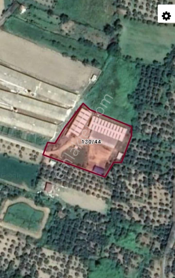 Erdek Turhanlarda Acil Satılık Arsa - Görsel 6