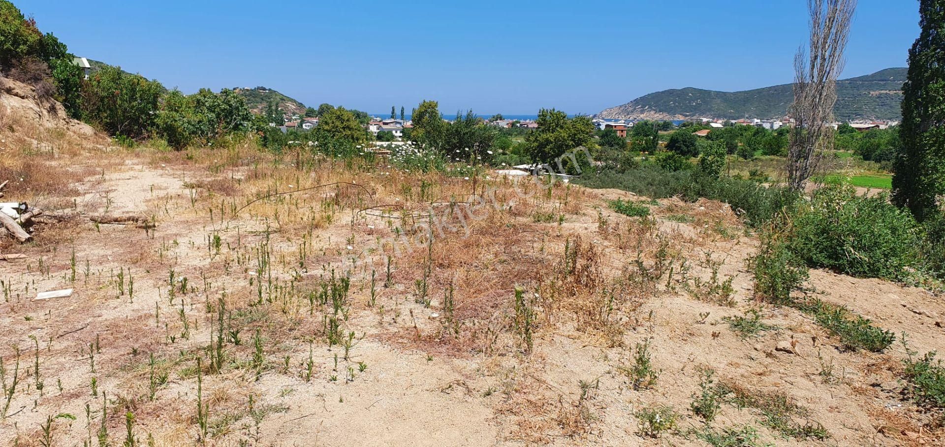 Erdek Turhanlarda Acil Satılık Arsa - Görsel 7