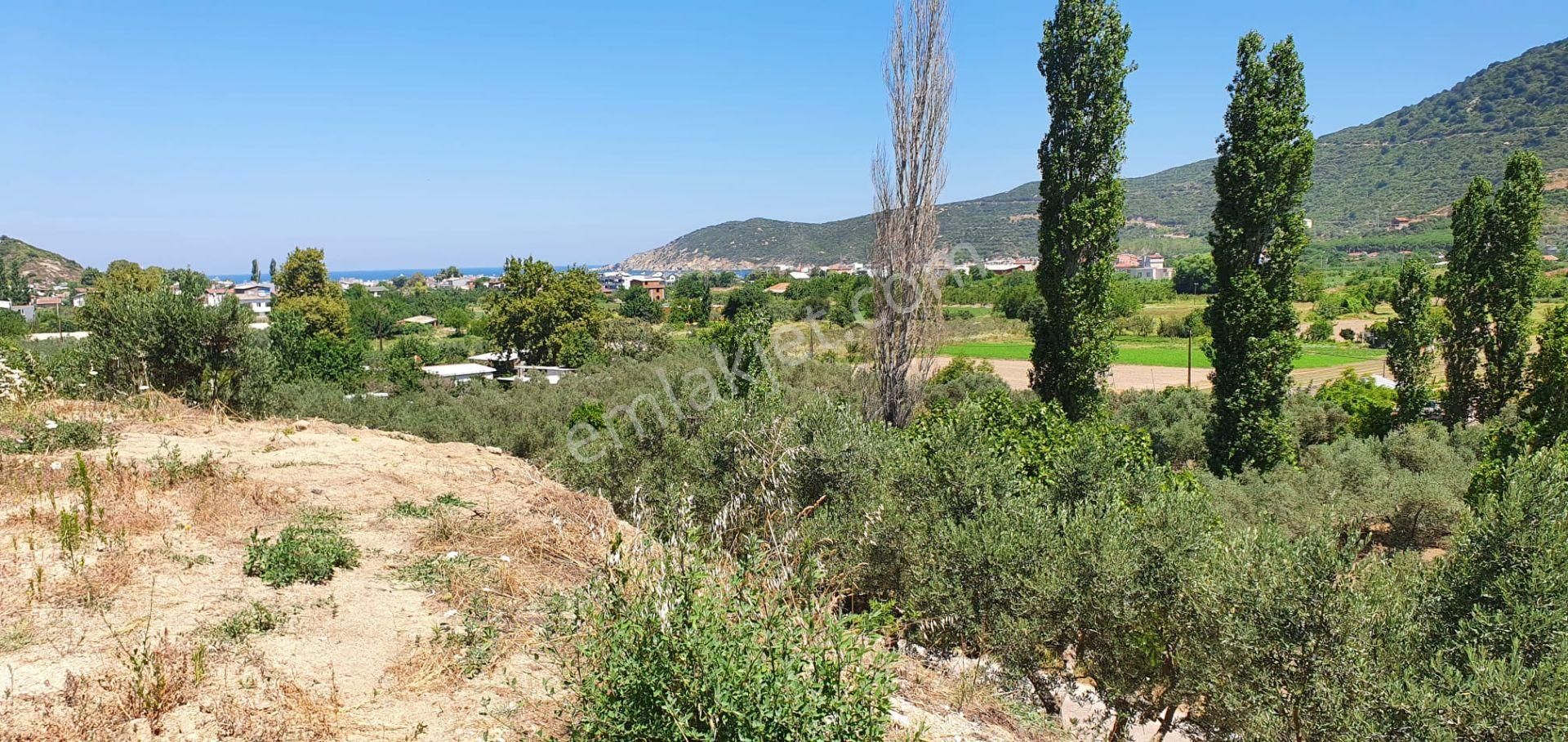 Erdek Turhanlarda Acil Satılık Arsa - Görsel 8