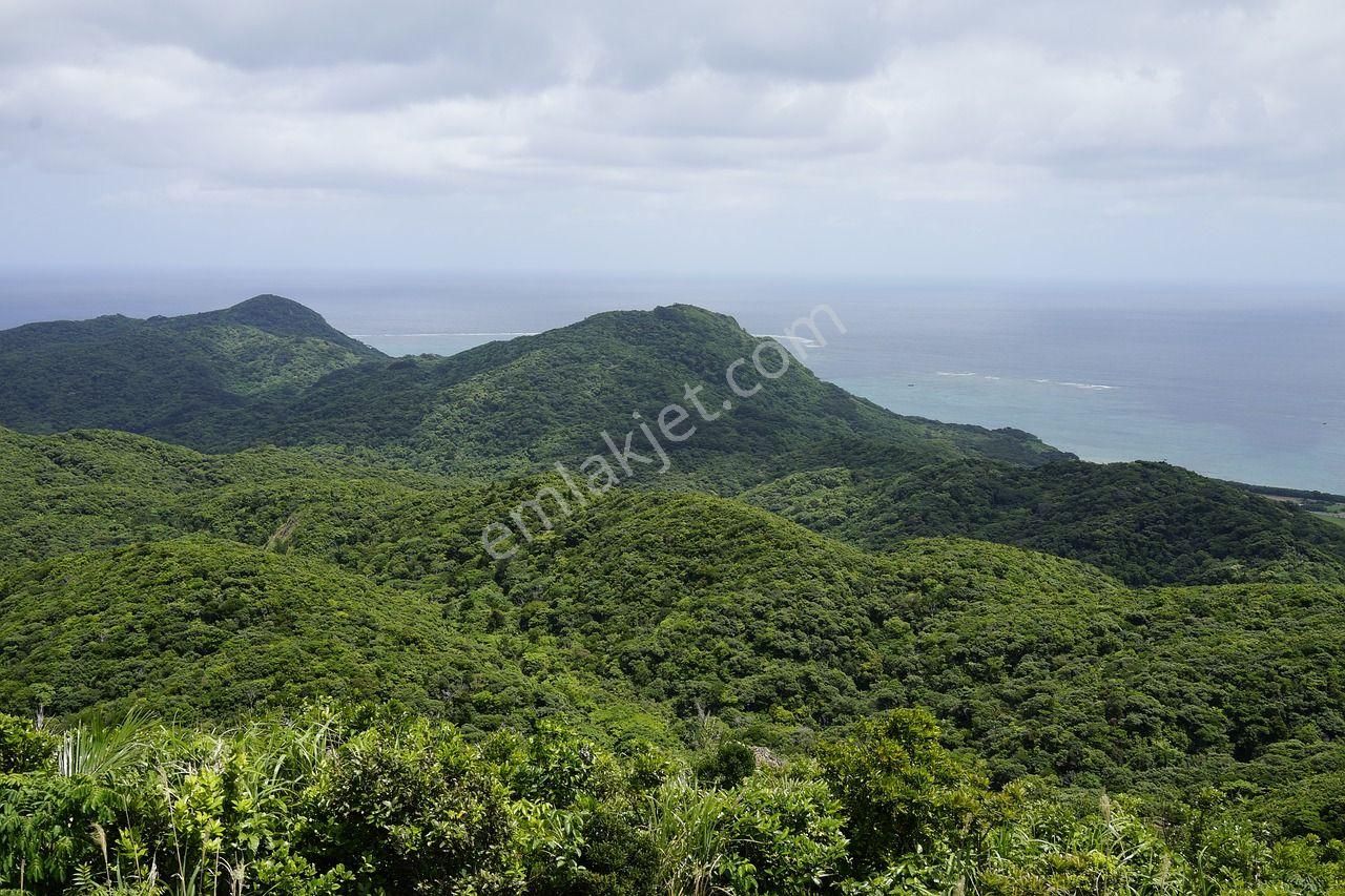 Alanya Güzelbağ Satılık Tarla  ALANYA GÜZELBAĞ ZAFER MAH.SIKIÇAM MEVKİİ SATILIK 16500 m2 TARLA