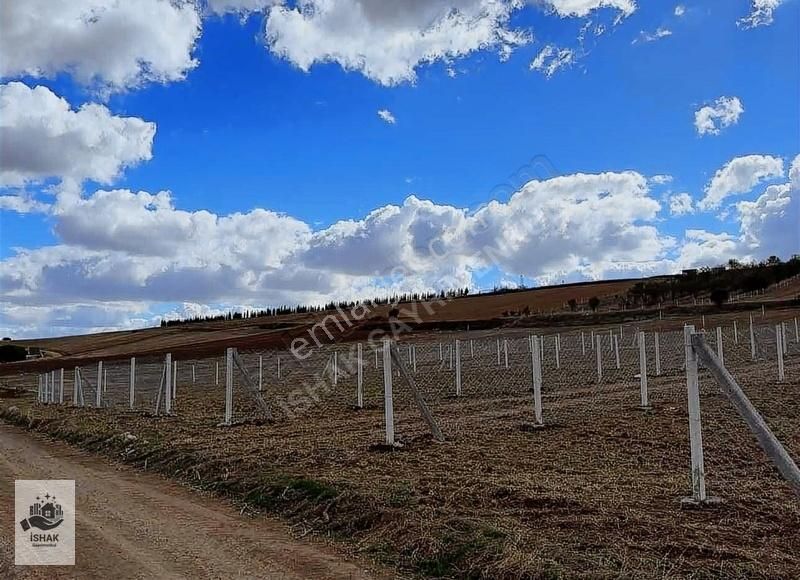 Marmaraereğlisi Çeşmeli Satılık Tarla Tekirdağ Marmara Ereğlisi Çeşmeli Mahallesi