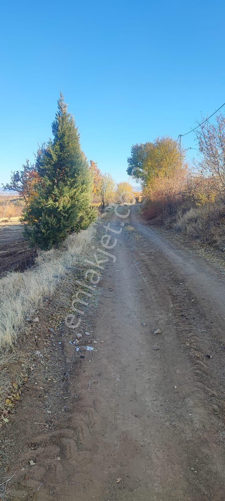 Elazığ Merkez Nail Bey Satılık Tarla GÜZEL LOKASYONDA FIRSAT ARAZİ