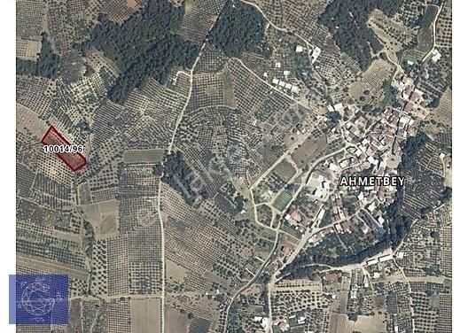 Osmangazi Ahmetbey Satılık Bağ & Bahçe Ahmetbey Köyünde 5.399 M2 Yatırımlık Tarla