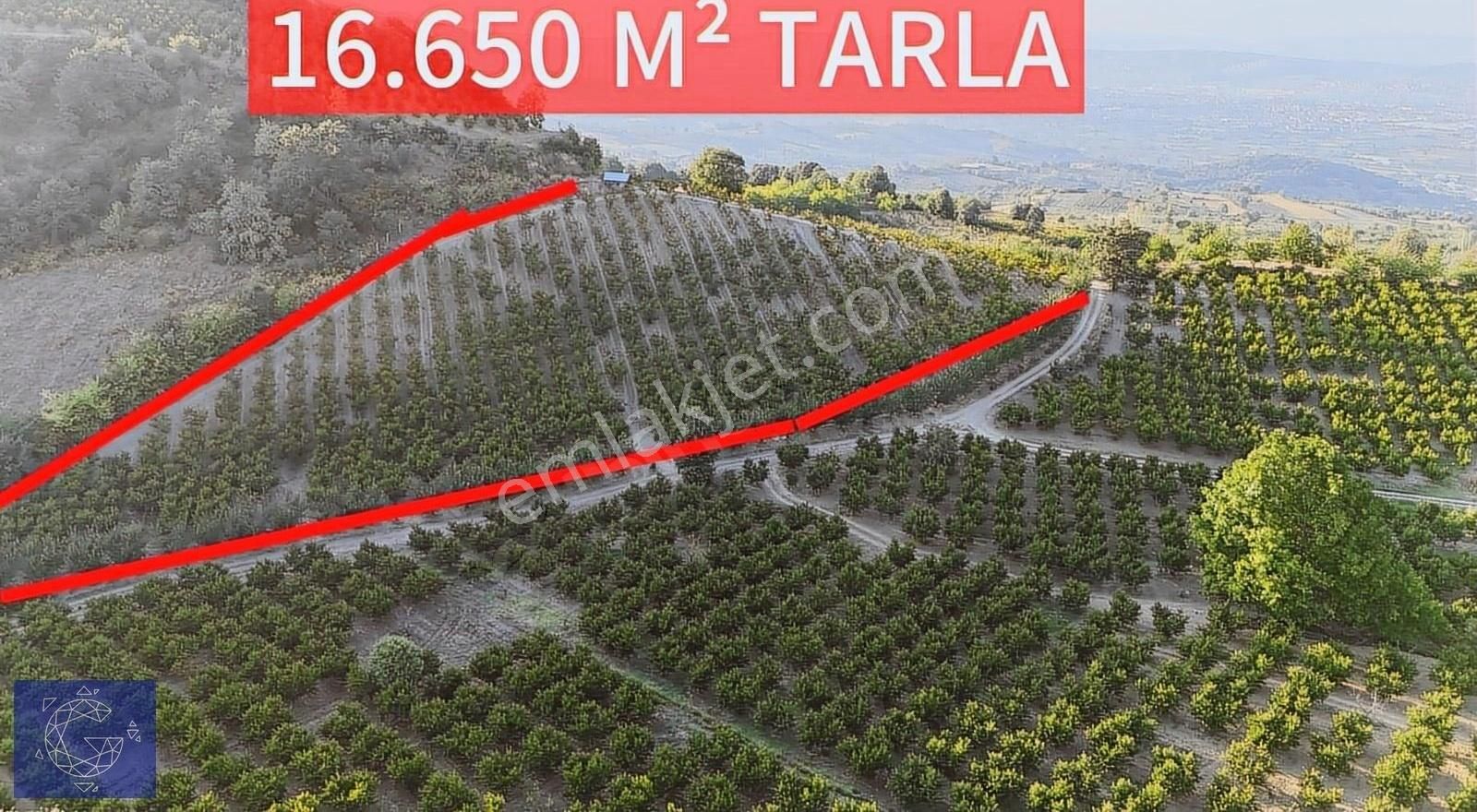 İnegöl Dipsizgöl Satılık Tarla İNEGÖL DİPSİZ GÖL KÖYÜN'DE UYGUNA TAKASA AÇIK SATILIK TARLA