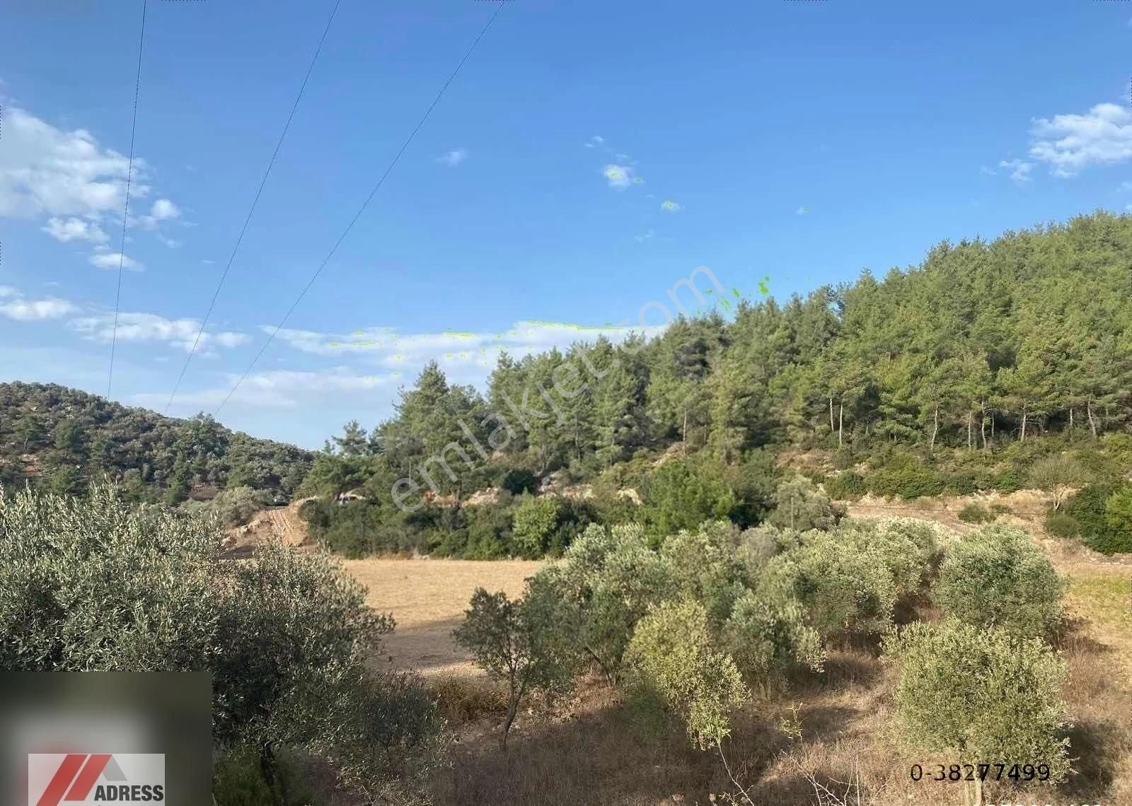 Milas Kuzyaka Mah. Yola Sıfır Satılık Tarla - Görsel 7