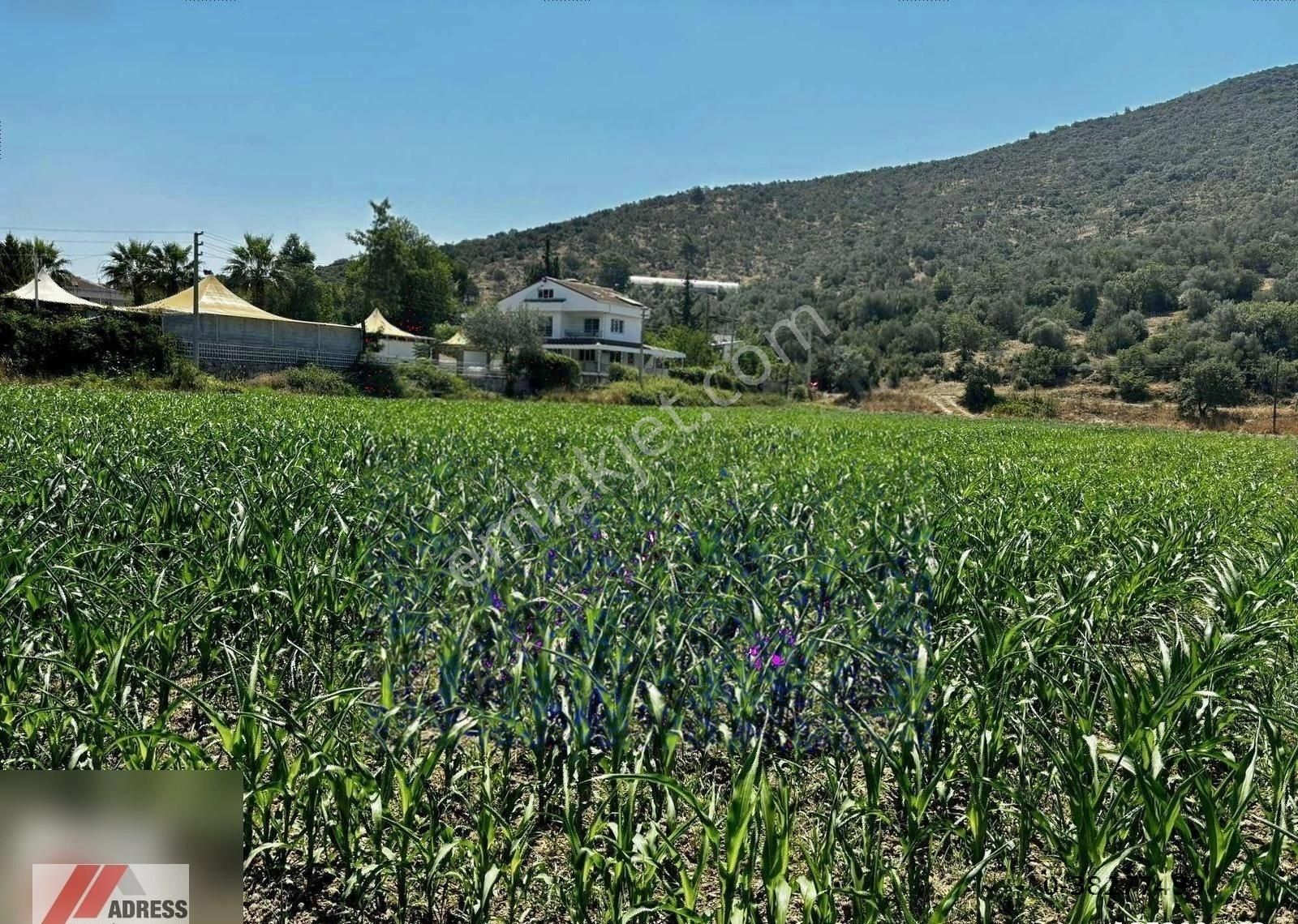 Milas-bodrum Anayoluna Sıfır Satılık Tarla - Görsel 8
