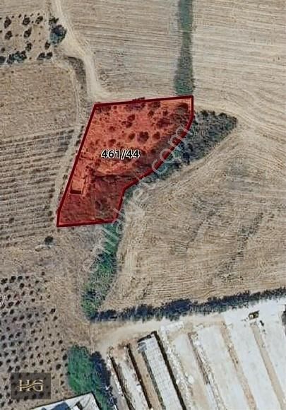 Kemalpaşa Yeni Bağyurdunda 3882m2 Tarım Sanayii İmarlı Arsa.