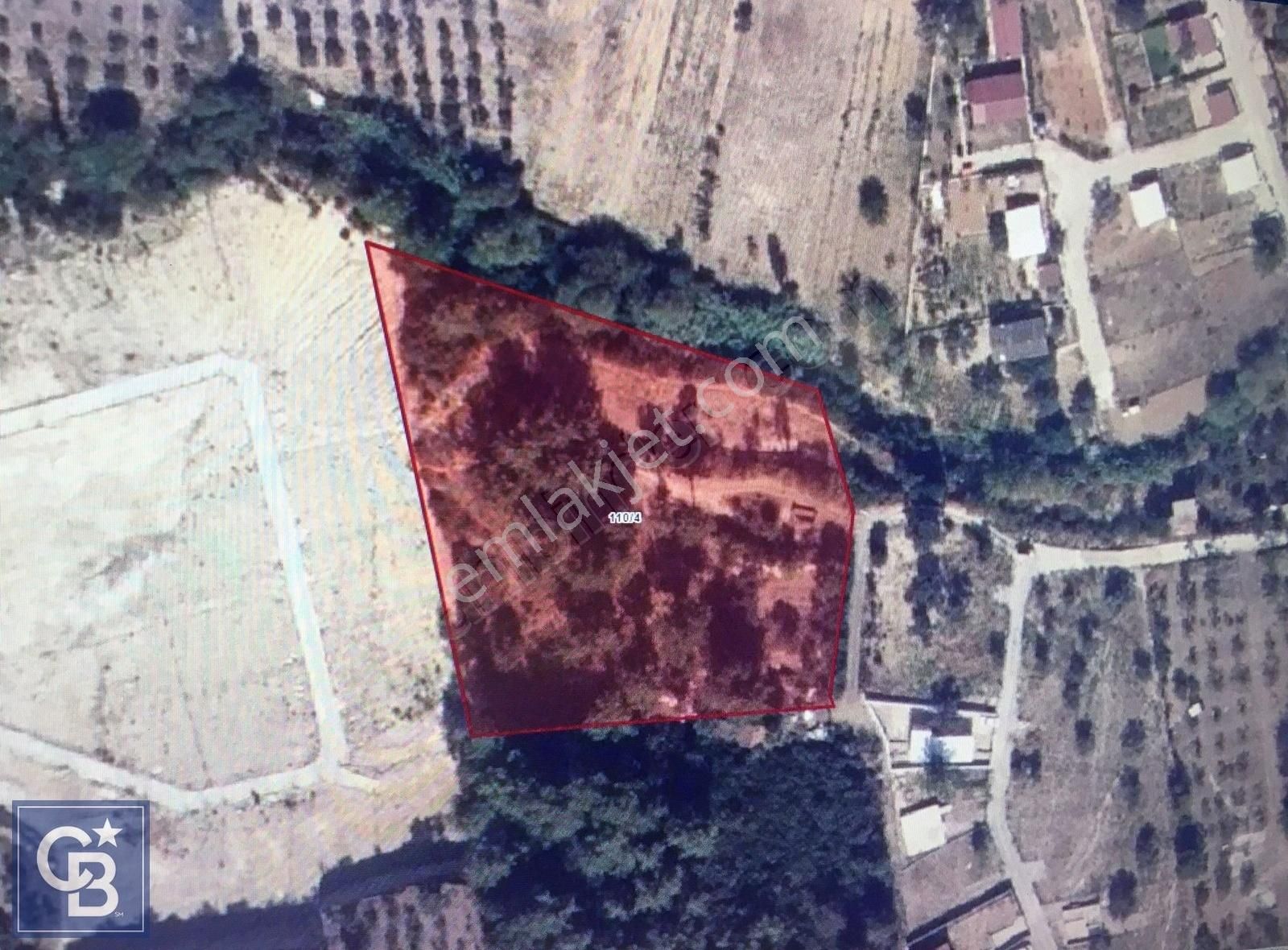 Torbalı Demirci Satılık Zeytinlik Torbalı Demirci'de Anayola 700 Metre Zeytinlik