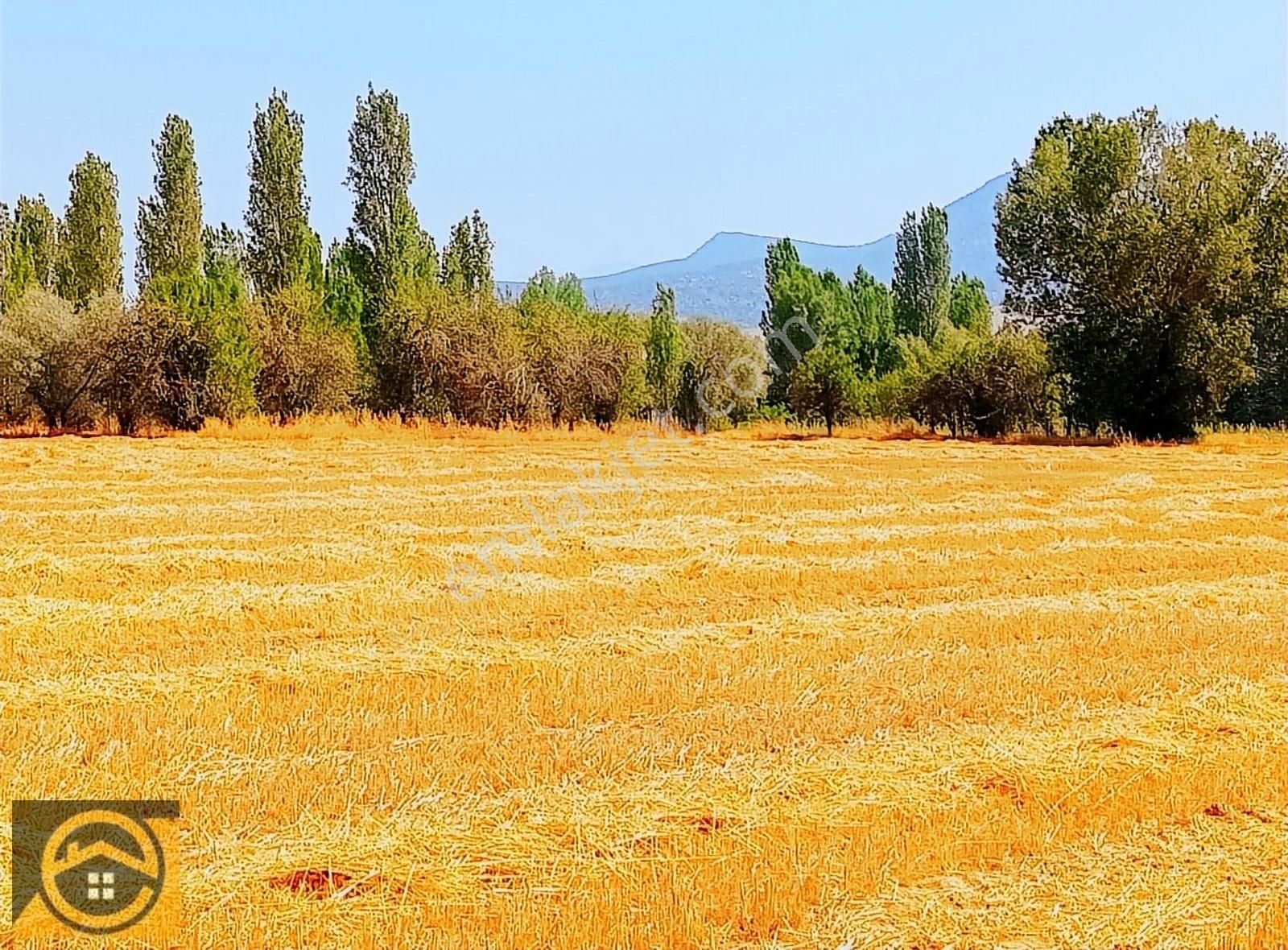 Seydişehir Akçalar Satılık Tarla EKON EMLAK,DAN BAĞLAR BÖLGESİNDE 760 M2 MÜSTAKİL TAPULU TARLA