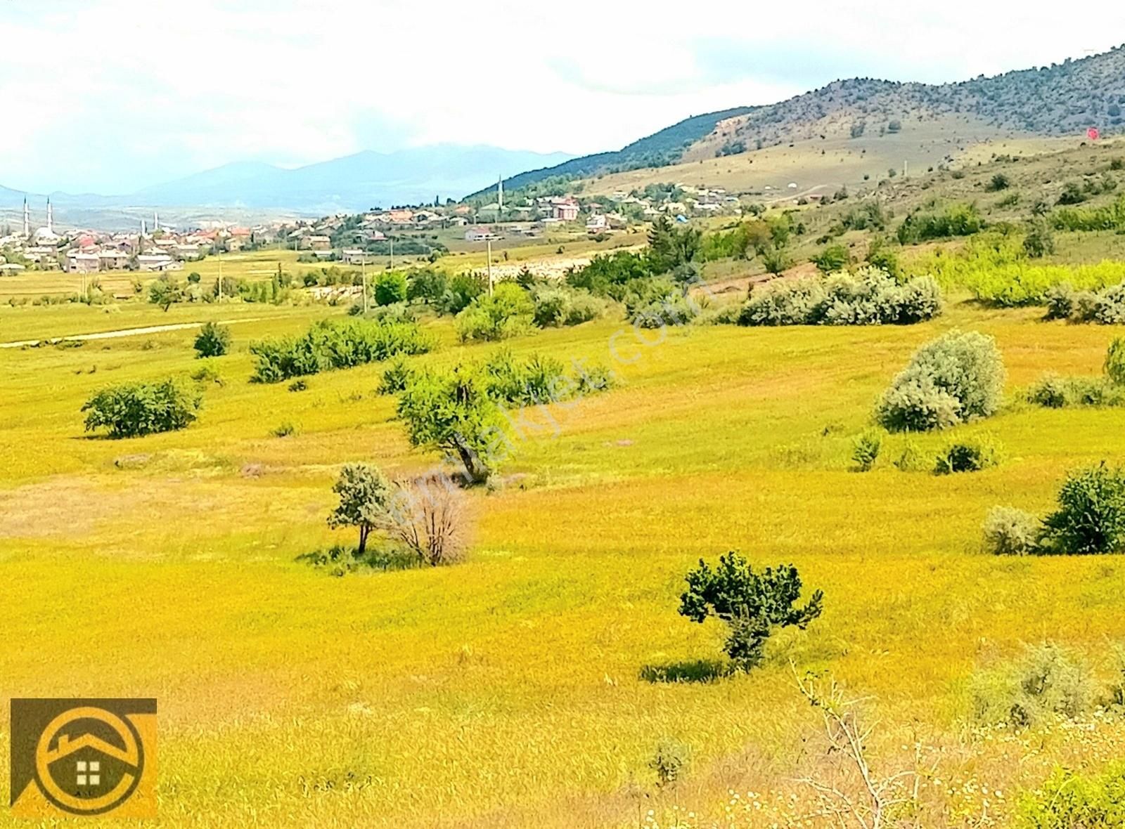 Seydişehir Gevrekli Satılık Tarla EKON,DAN GEVREKLİDE KONYA ÇEVRE YOLUNA YAKIN YATIRIMLIK TARLA