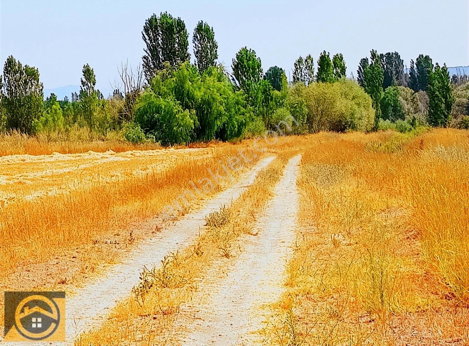 Seydişehir Bahçelievler Satılık Tarla EKON,DAN SEYDİŞEHİR MERKEZE 8 KM MESAFEDE YOLU OLAN MÜSTAKİL TAP