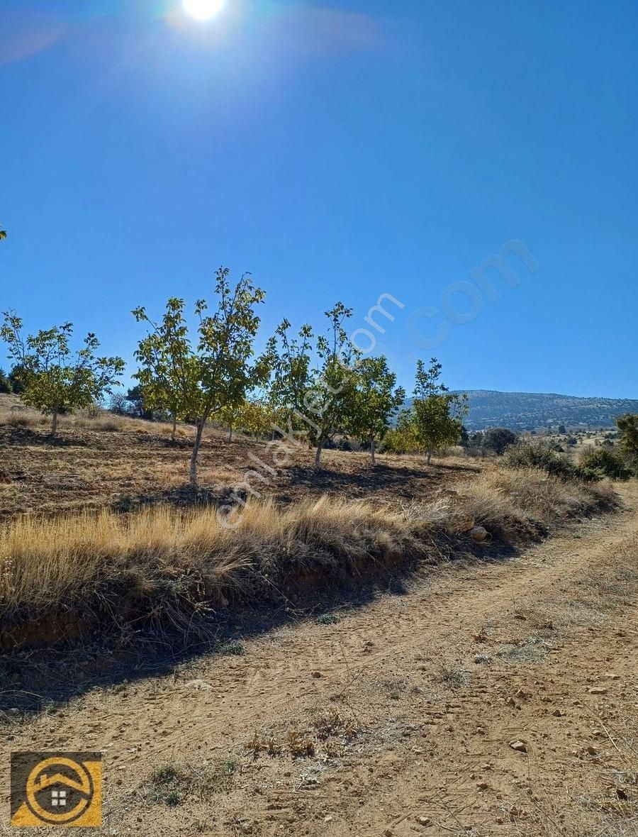 Karaman Merkez Boyalı Köyü Satılık Tarla EKON'DAN KARAMAN BOYALI KÖYÜNDE 17834M2 HAZIR SATILIK BAHÇE